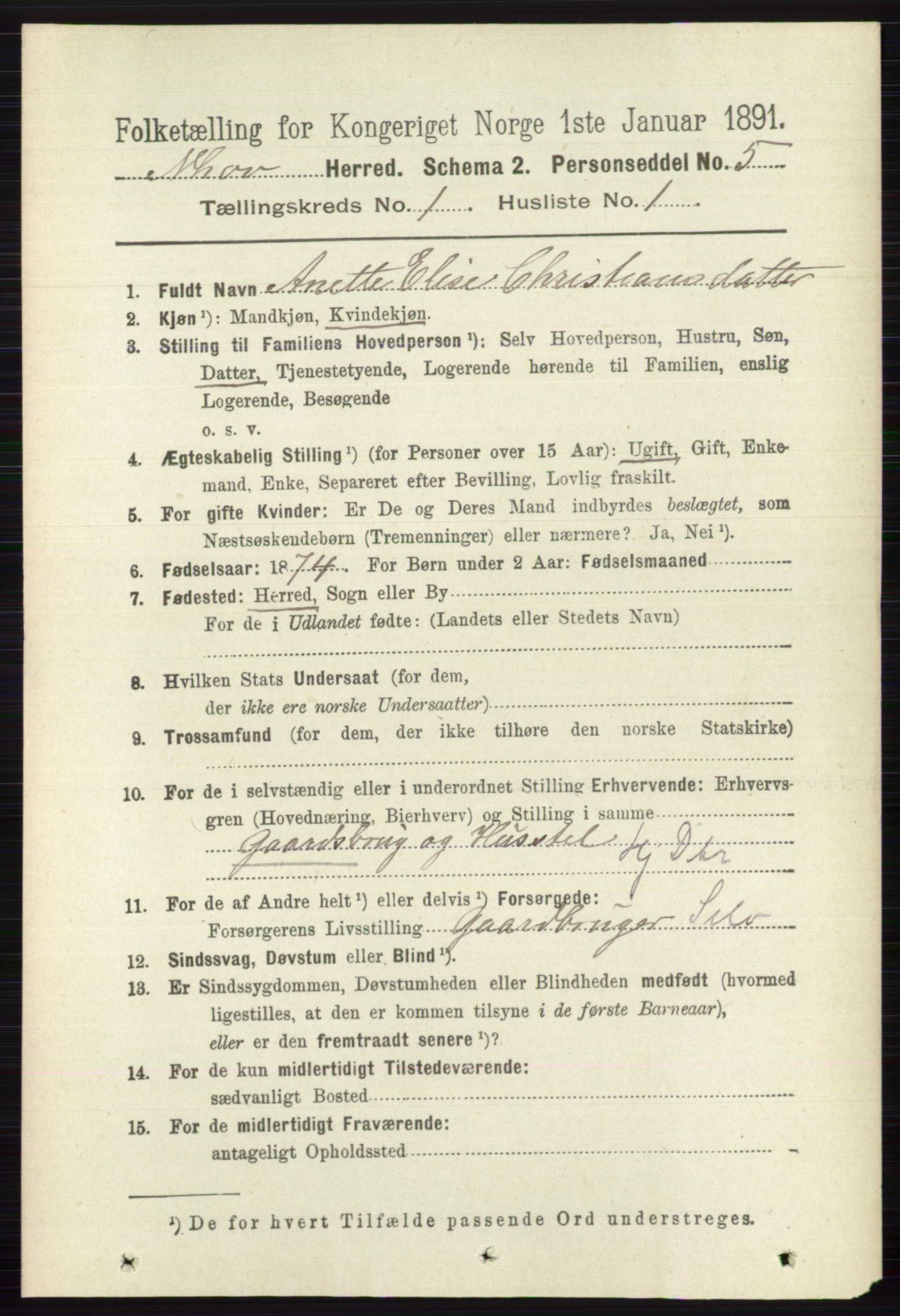 RA, 1891 census for 0613 Norderhov, 1891, p. 125