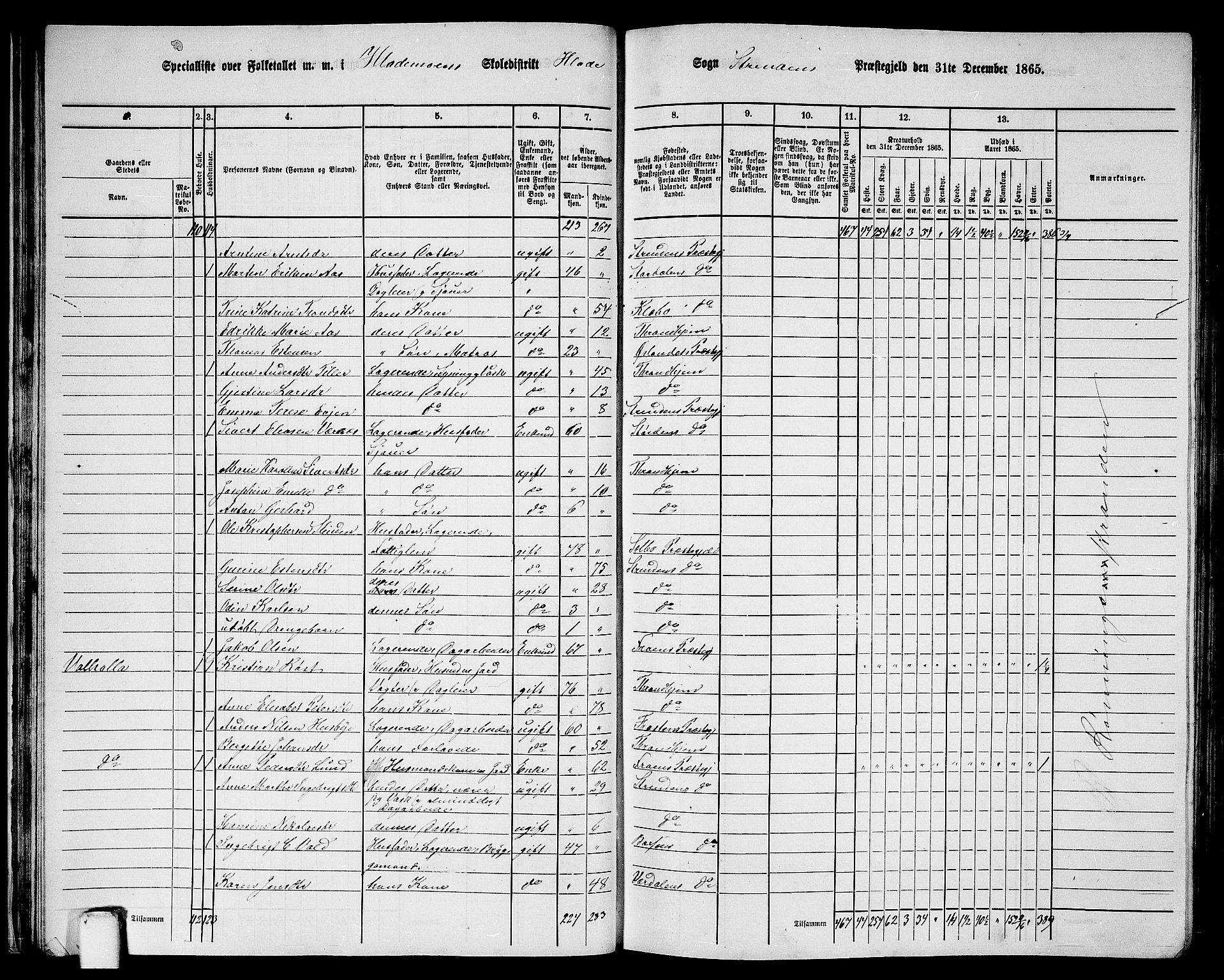 RA, 1865 census for Strinda, 1865, p. 33