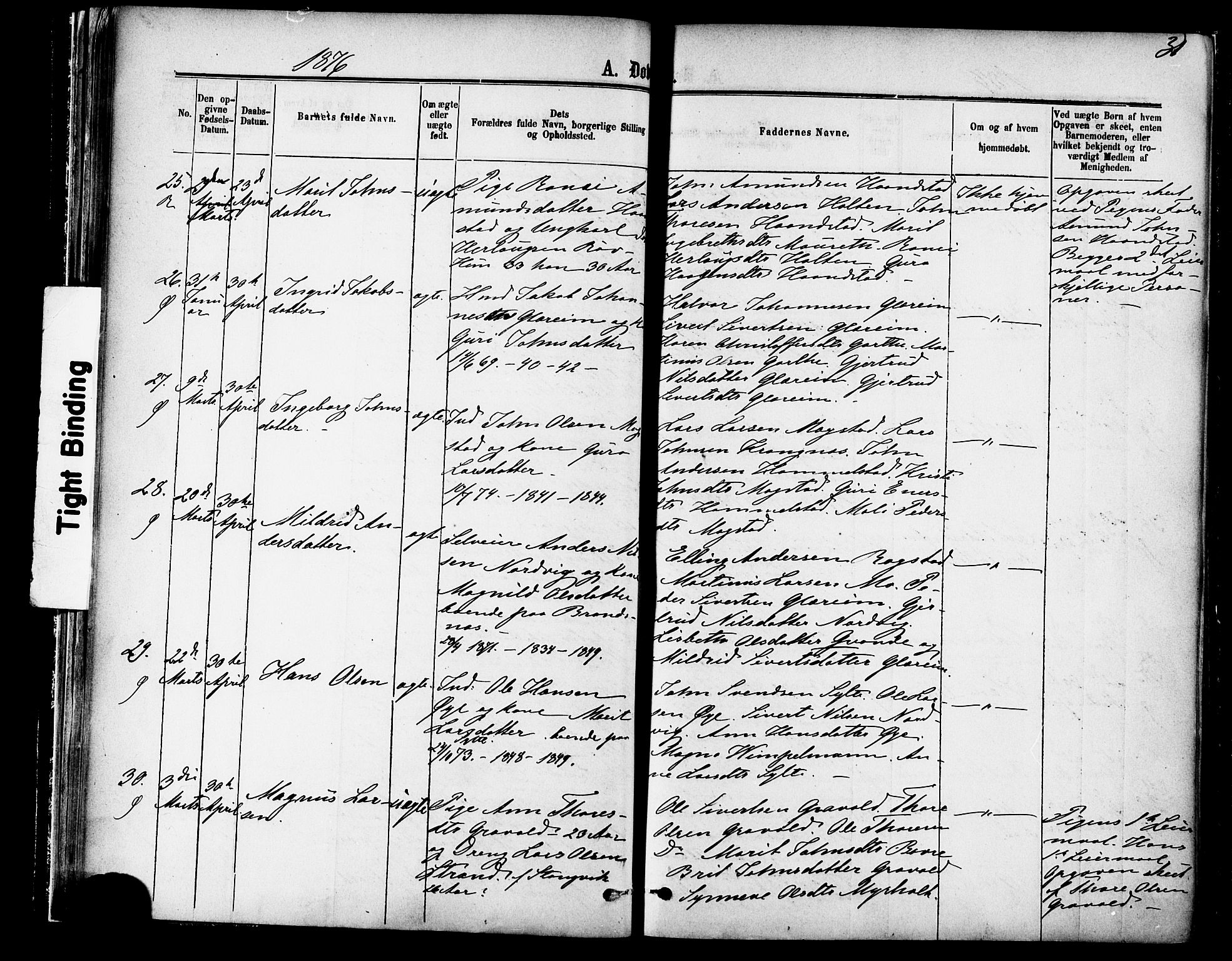 Ministerialprotokoller, klokkerbøker og fødselsregistre - Møre og Romsdal, SAT/A-1454/595/L1046: Parish register (official) no. 595A08, 1874-1884, p. 31