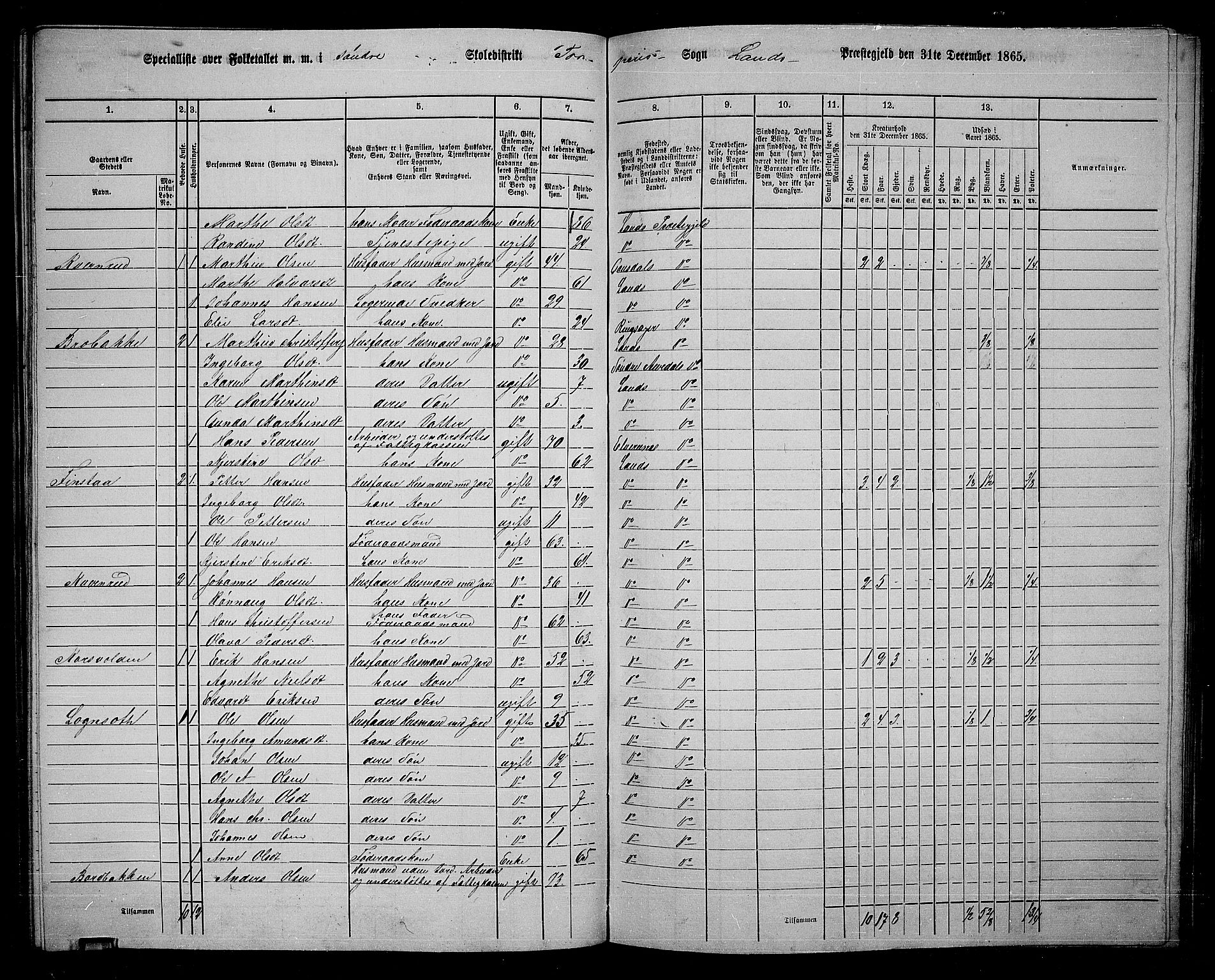 RA, 1865 census for Land, 1865, p. 119