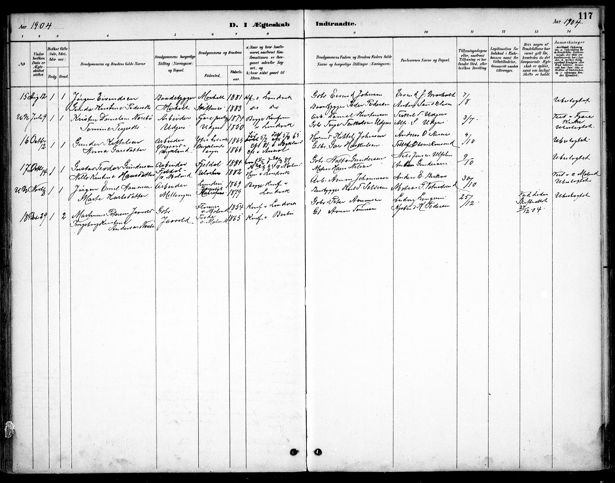 Hommedal sokneprestkontor, AV/SAK-1111-0023/F/Fb/Fbb/L0007: Parish register (copy) no. B 7, 1885-1904, p. 117