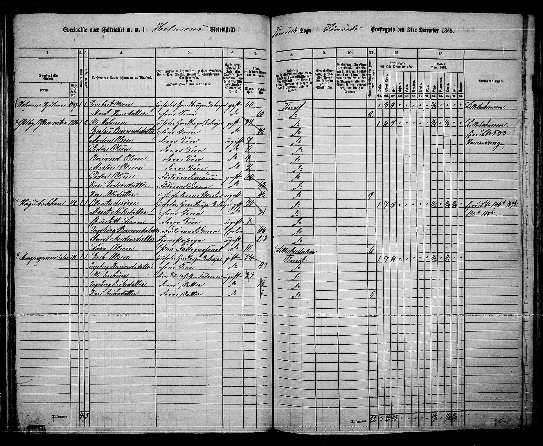 RA, 1865 census for Tynset, 1865, p. 57