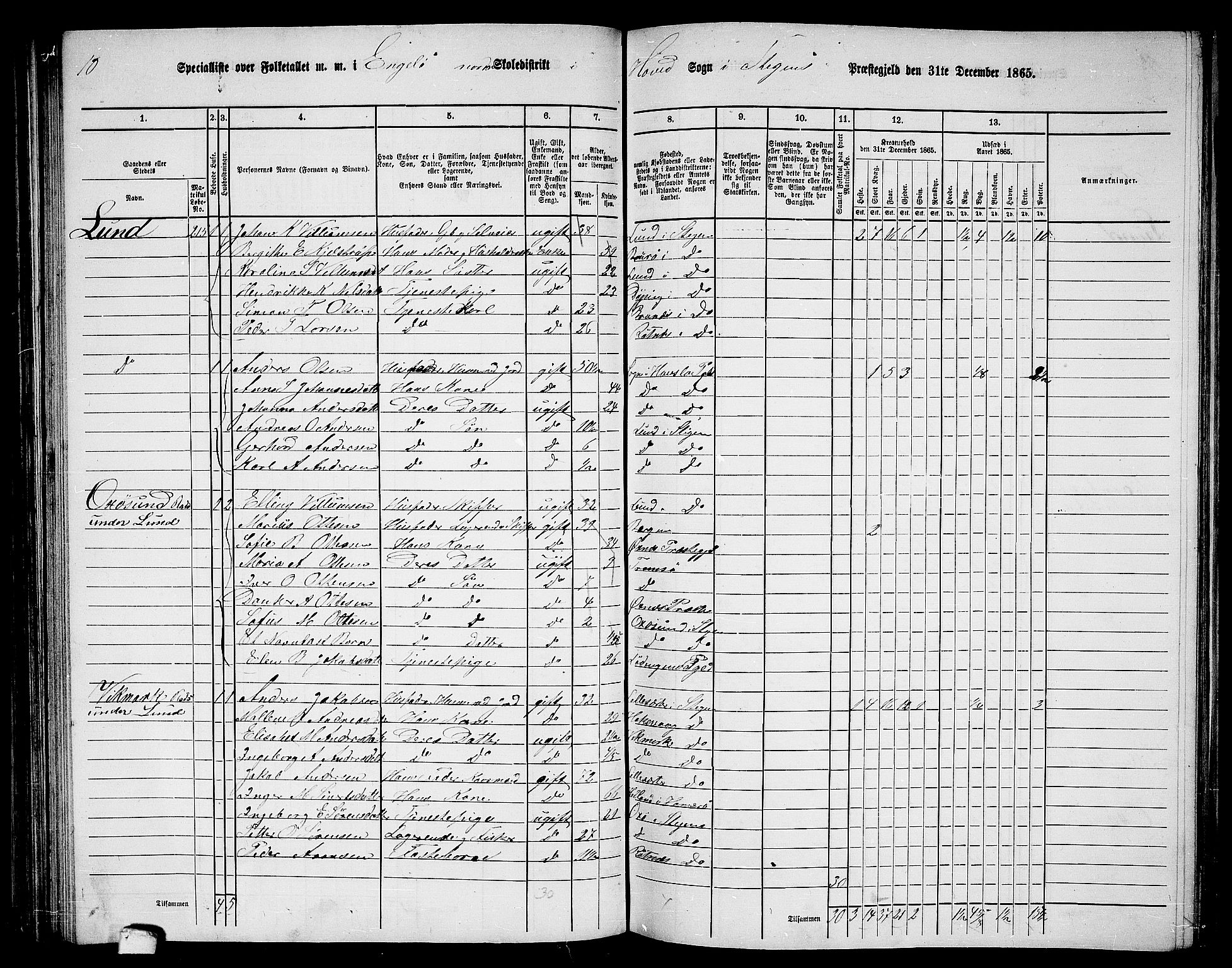 RA, 1865 census for Steigen, 1865, p. 81