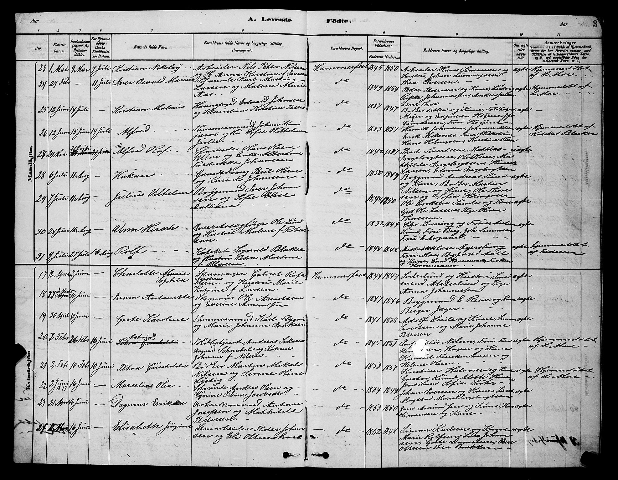 Hammerfest sokneprestkontor, AV/SATØ-S-1347/H/Hb/L0006.klokk: Parish register (copy) no. 6, 1876-1884, p. 3