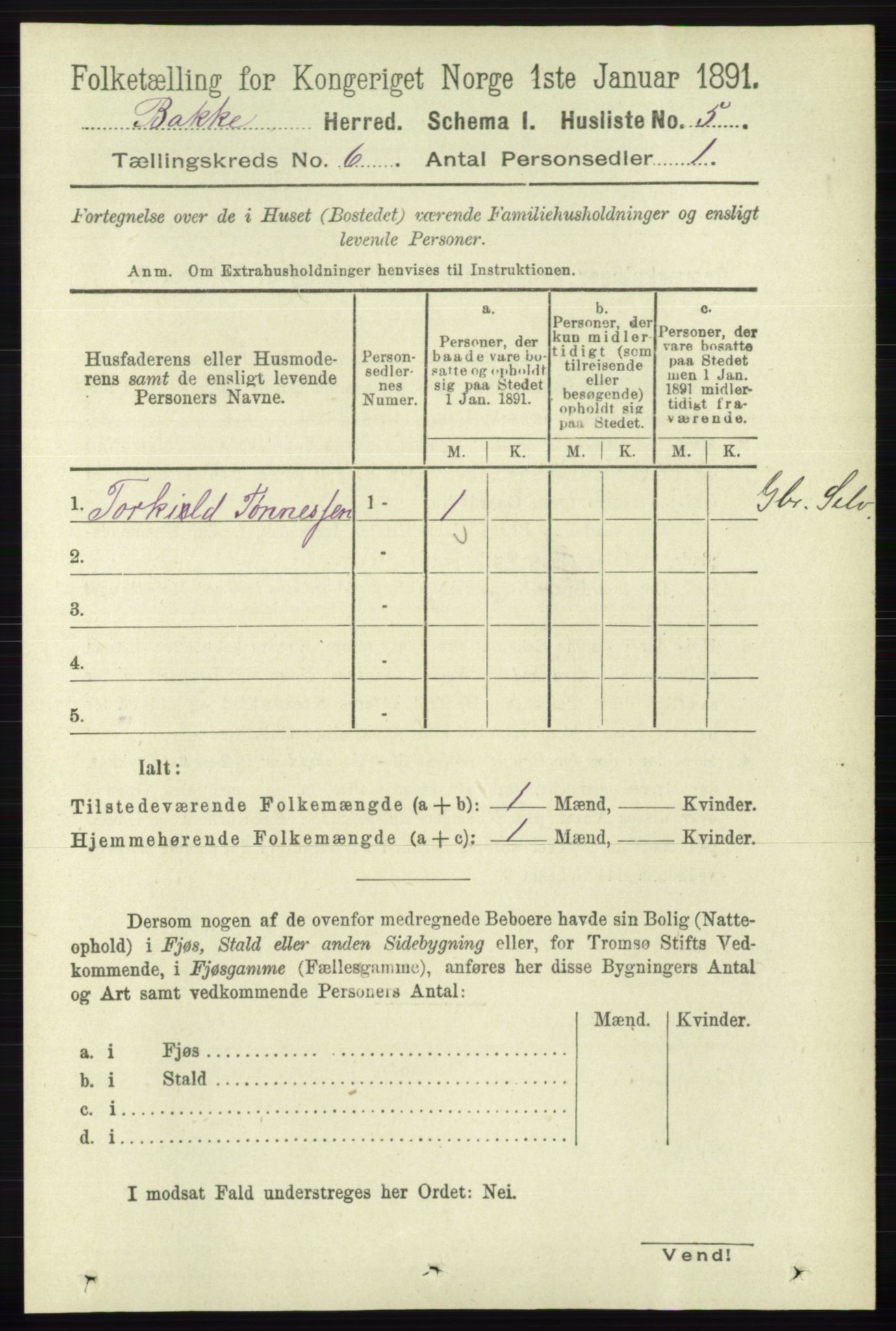 RA, 1891 census for 1045 Bakke, 1891, p. 1153