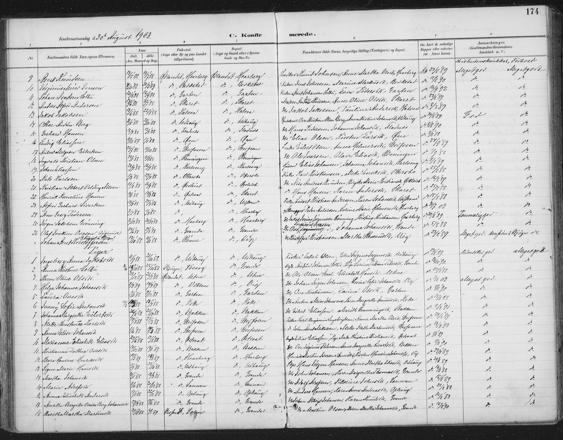 Ministerialprotokoller, klokkerbøker og fødselsregistre - Sør-Trøndelag, SAT/A-1456/659/L0743: Parish register (official) no. 659A13, 1893-1910, p. 174