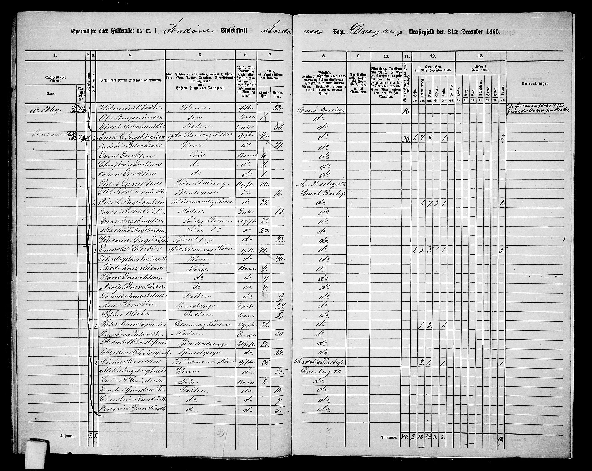 RA, 1865 census for Dverberg, 1865, p. 65