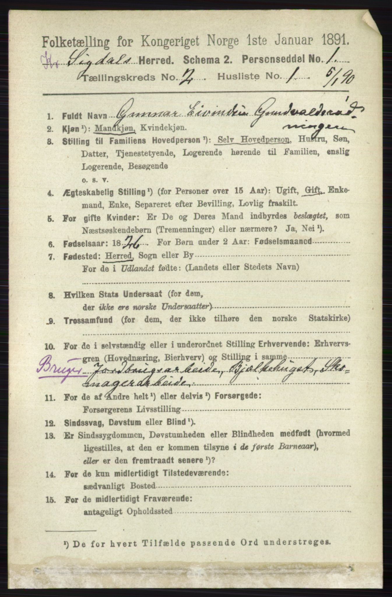 RA, 1891 census for 0621 Sigdal, 1891, p. 5316