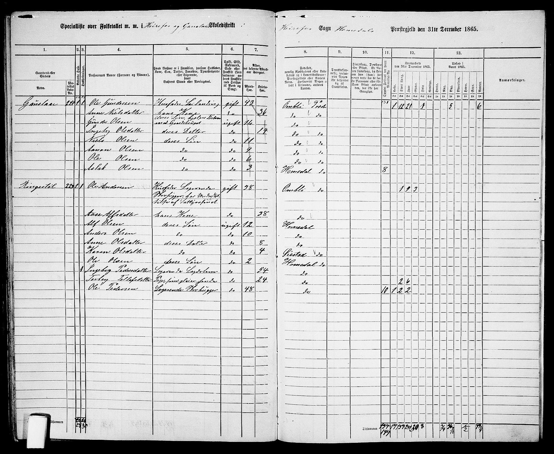 RA, 1865 census for Homedal, 1865, p. 167
