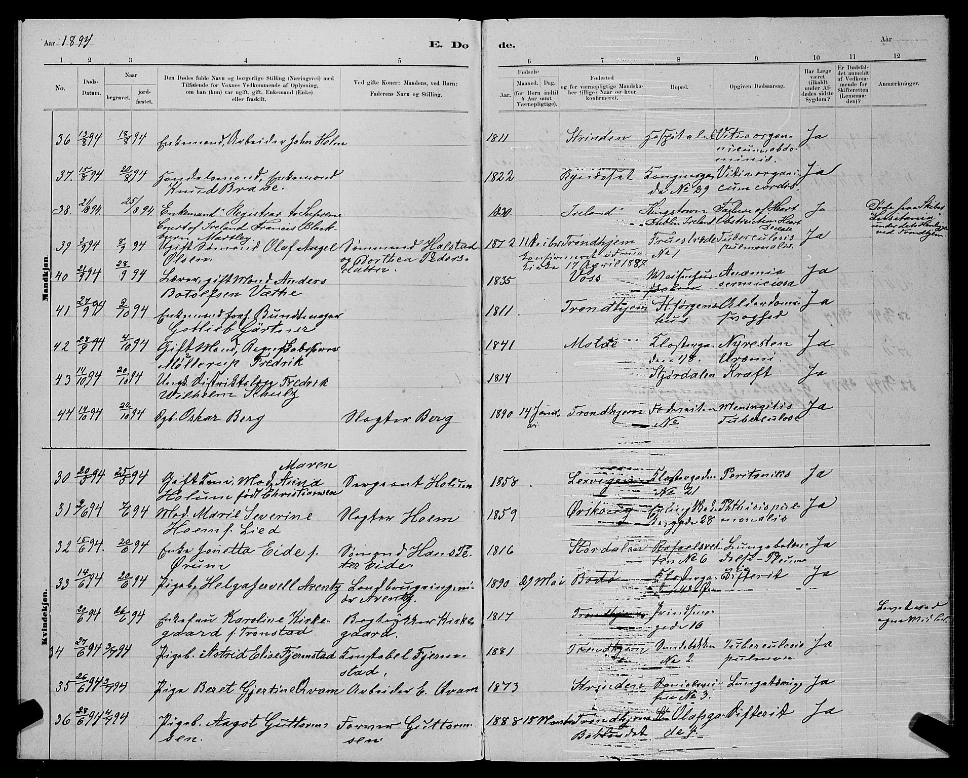 Ministerialprotokoller, klokkerbøker og fødselsregistre - Sør-Trøndelag, AV/SAT-A-1456/601/L0093: Parish register (copy) no. 601C11, 1882-1898