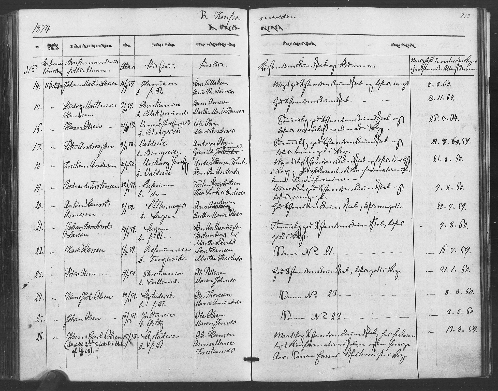 Sørum prestekontor Kirkebøker, AV/SAO-A-10303/F/Fa/L0006: Parish register (official) no. I 6, 1864-1877, p. 213