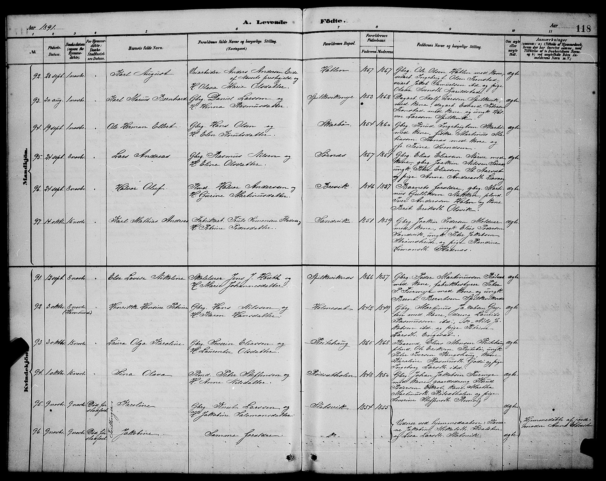 Ministerialprotokoller, klokkerbøker og fødselsregistre - Møre og Romsdal, SAT/A-1454/528/L0431: Parish register (copy) no. 528C12, 1885-1898, p. 118