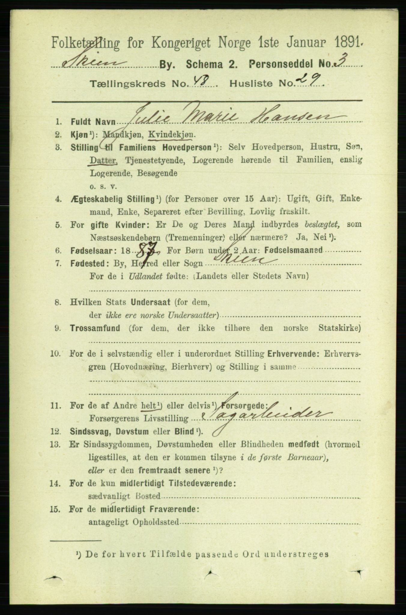 RA, 1891 census for 0806 Skien, 1891, p. 10046