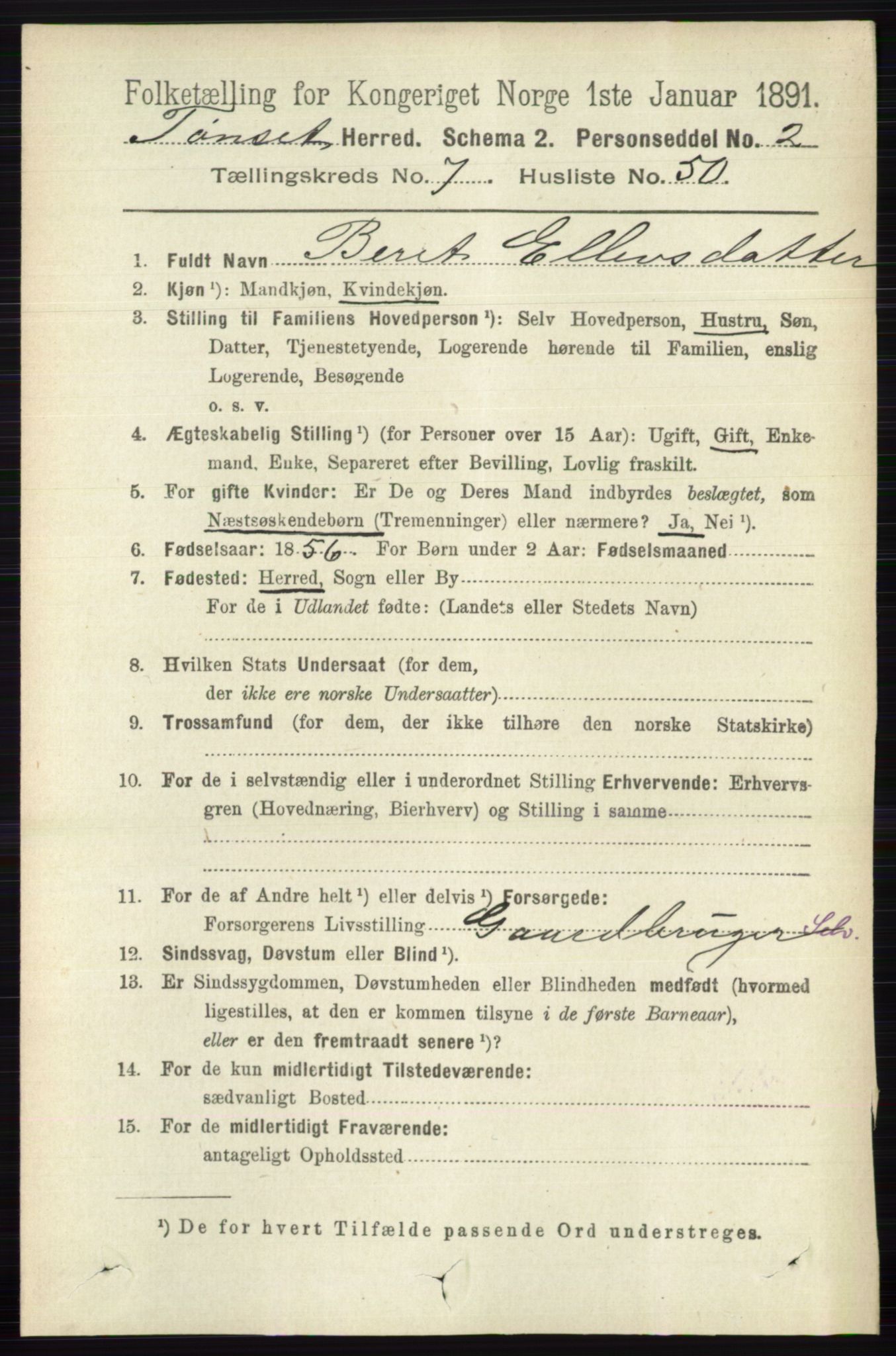 RA, 1891 census for 0437 Tynset, 1891, p. 2022