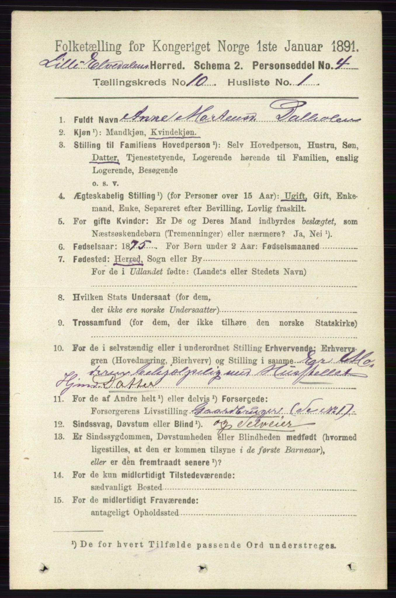 RA, 1891 census for 0438 Lille Elvedalen, 1891, p. 3424