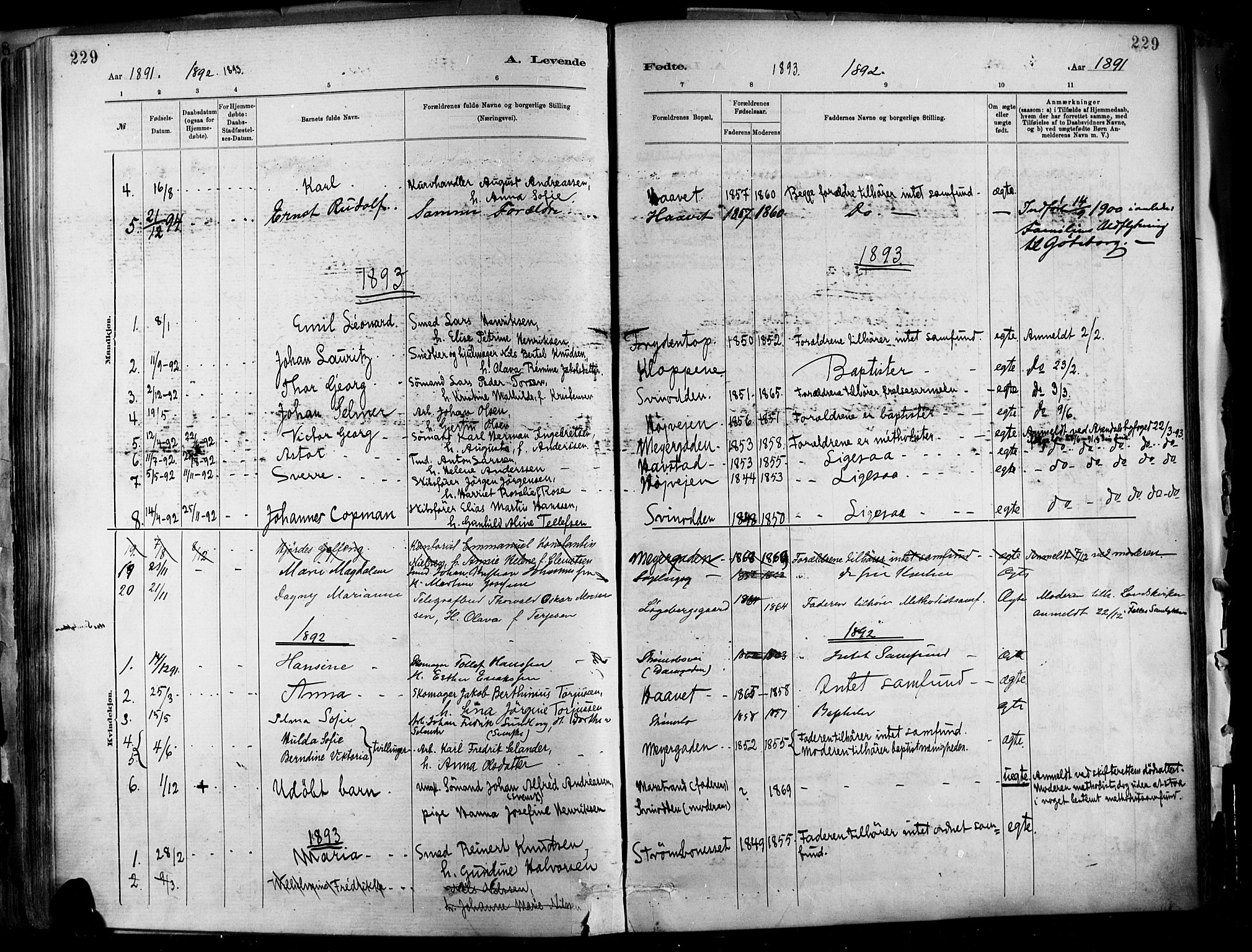 Barbu sokneprestkontor, SAK/1111-0003/F/Fa/L0002: Parish register (official) no. A 2, 1883-1898, p. 229