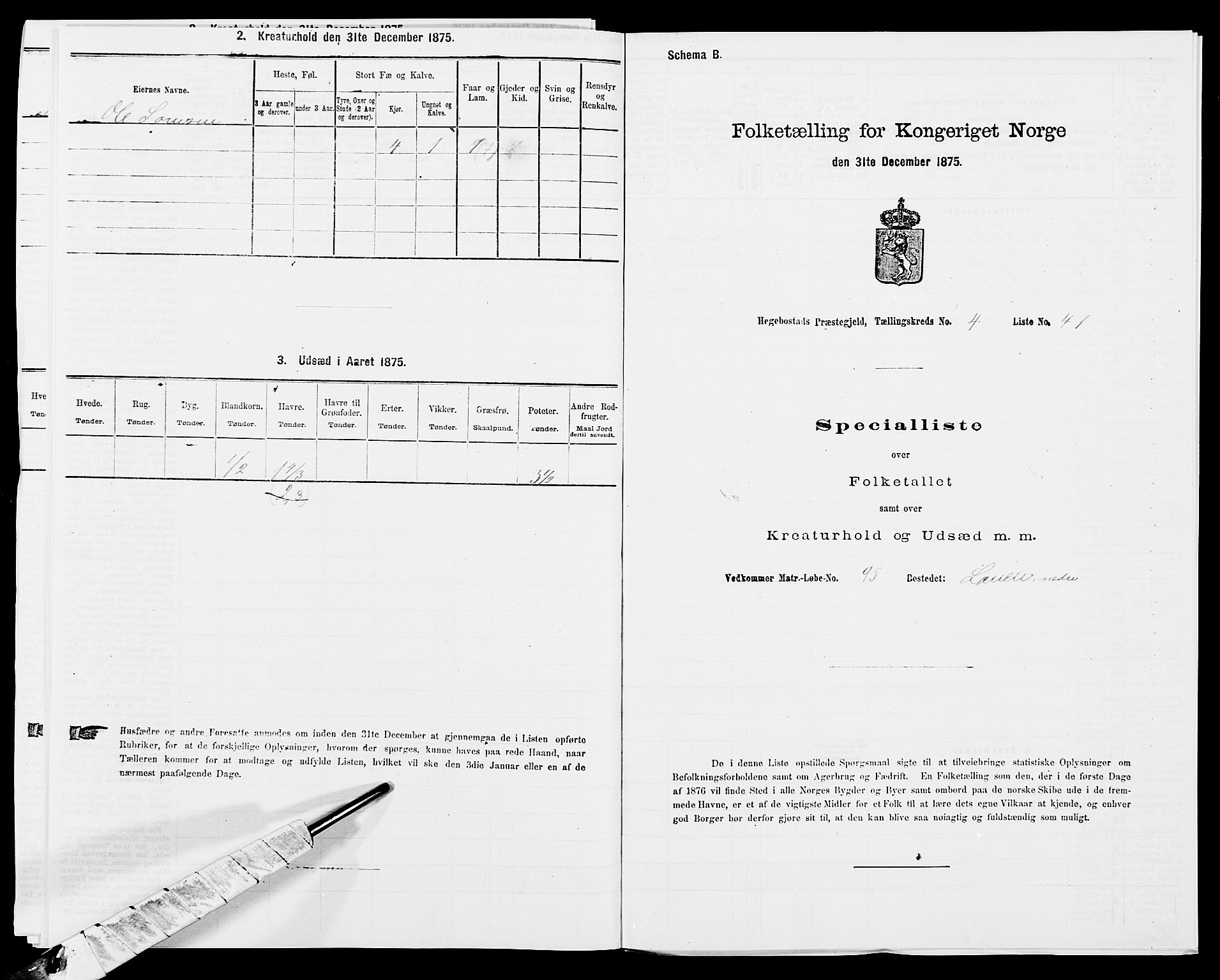 SAK, 1875 census for 1034P Hægebostad, 1875, p. 429