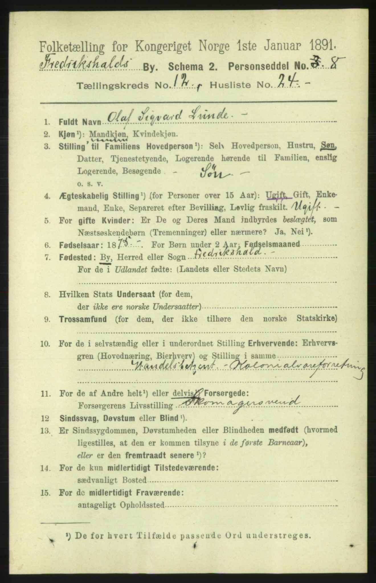 RA, 1891 census for 0101 Fredrikshald, 1891, p. 8597