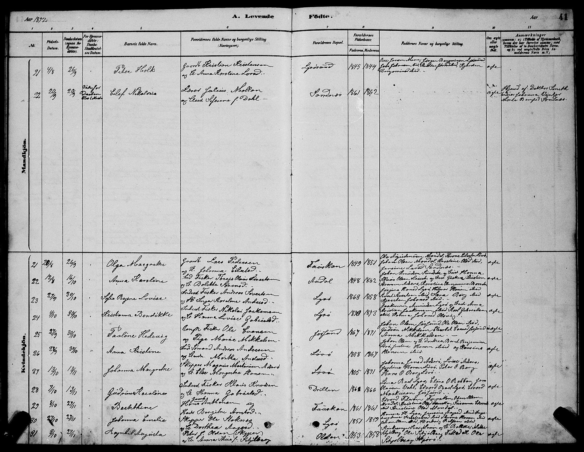 Ministerialprotokoller, klokkerbøker og fødselsregistre - Sør-Trøndelag, SAT/A-1456/654/L0665: Parish register (copy) no. 654C01, 1879-1901, p. 41