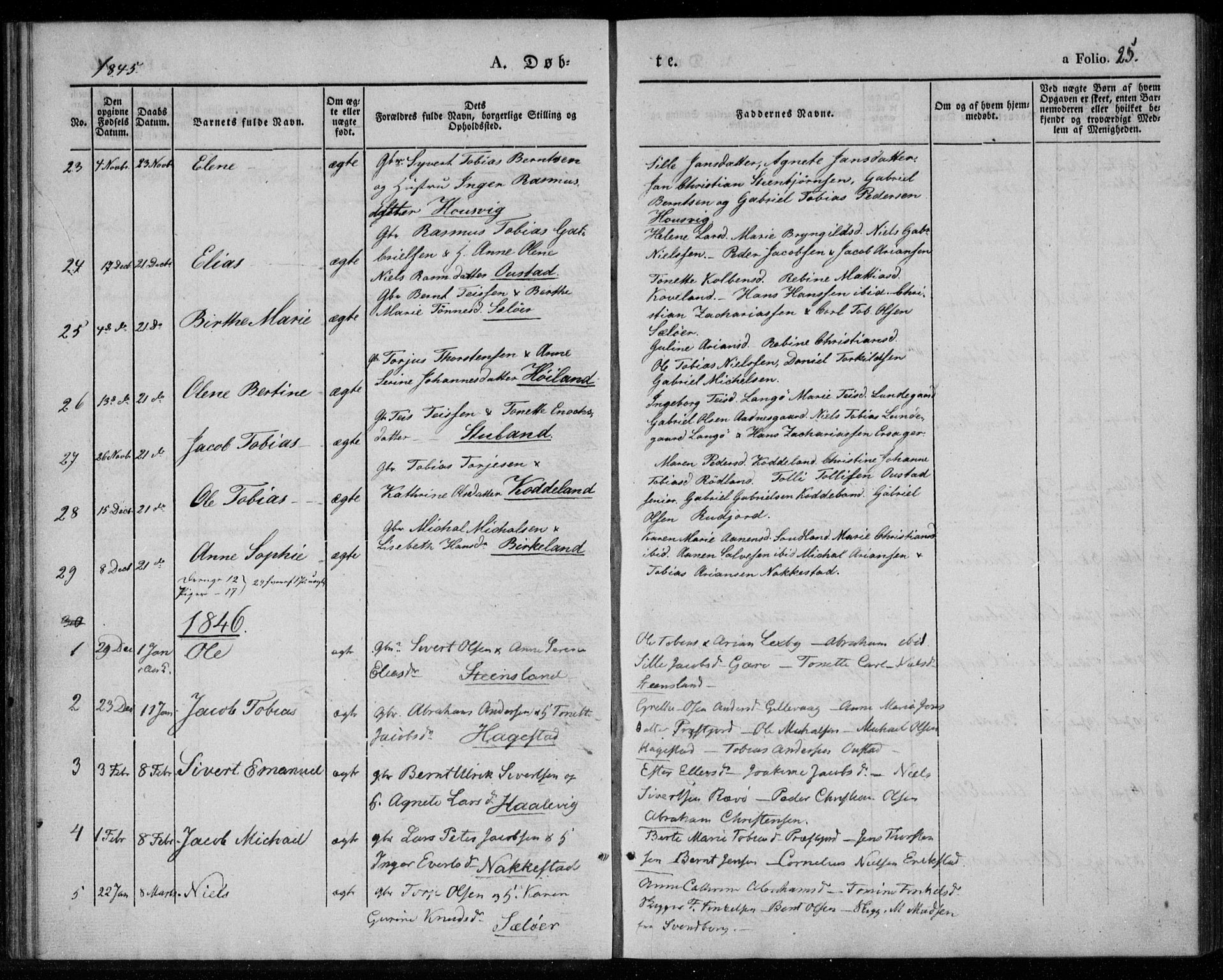 Lyngdal sokneprestkontor, AV/SAK-1111-0029/F/Fa/Faa/L0001: Parish register (official) no. A 1, 1837-1857, p. 25