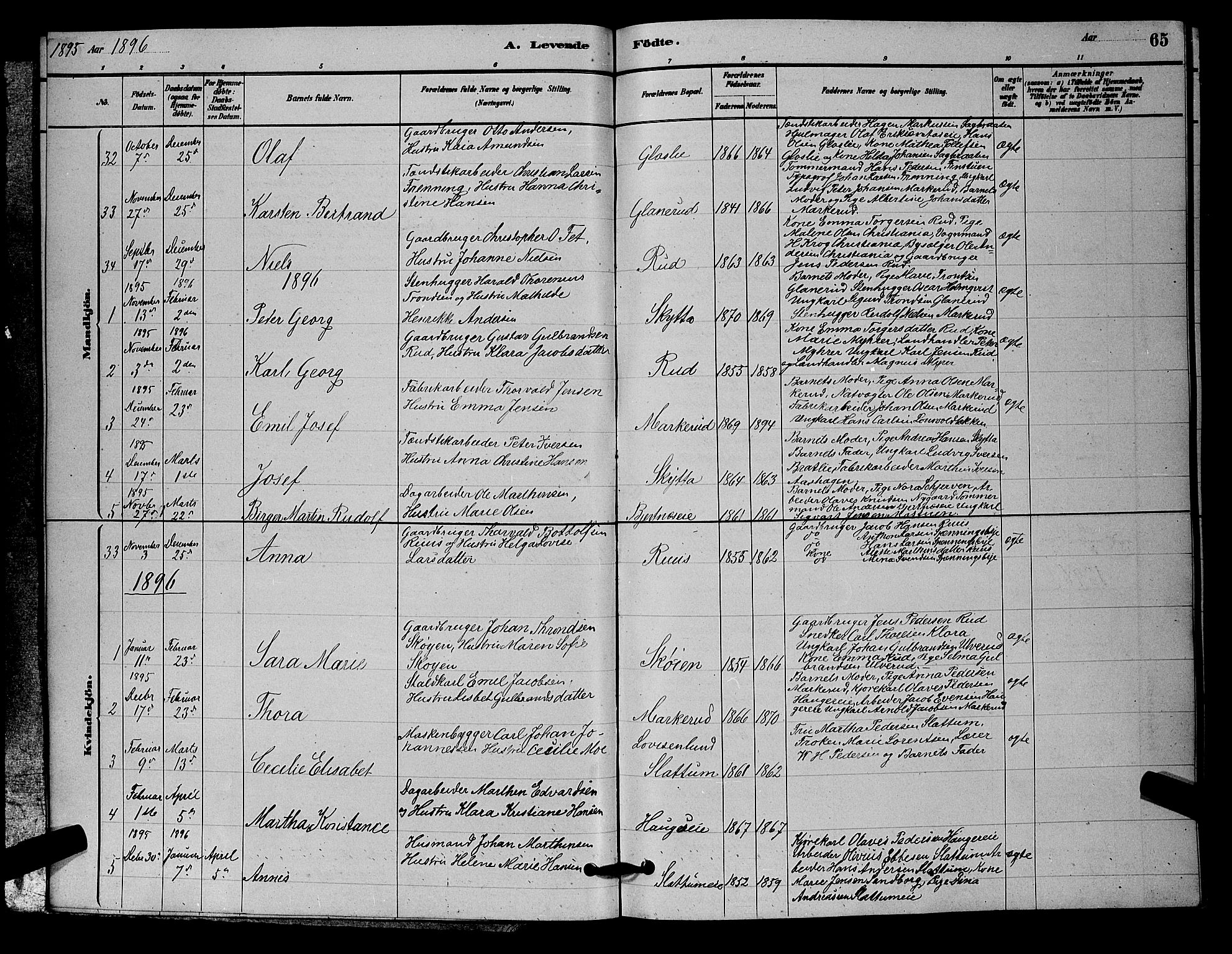 Nittedal prestekontor Kirkebøker, SAO/A-10365a/G/Ga/L0002: Parish register (copy) no. I 2, 1879-1901, p. 65
