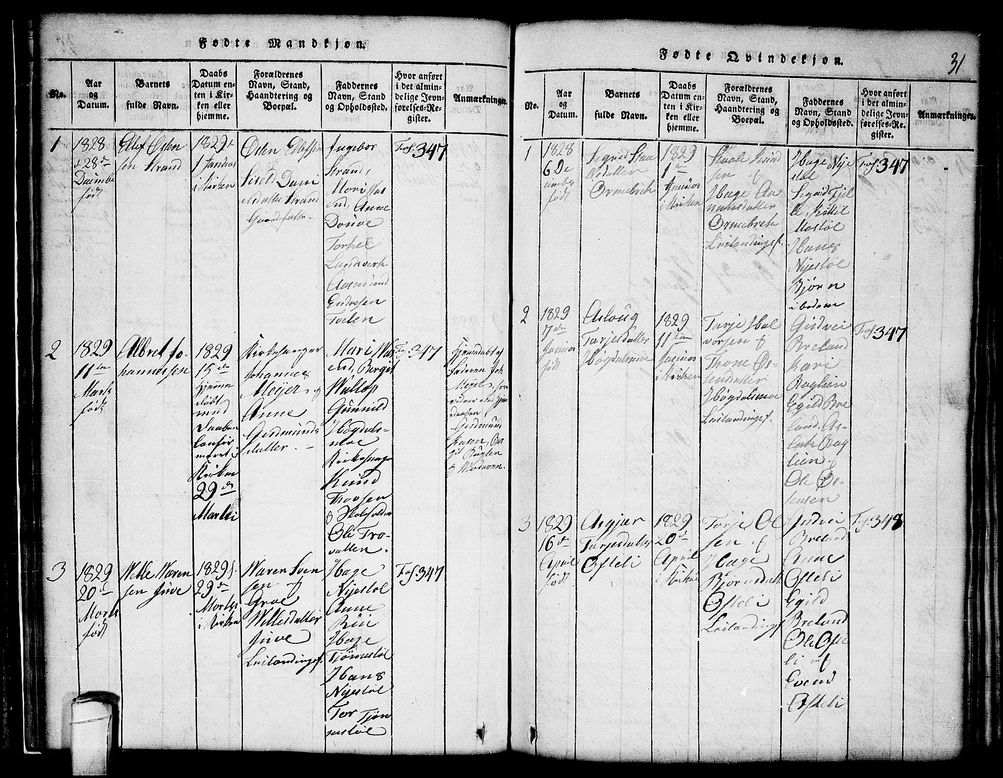 Lårdal kirkebøker, SAKO/A-284/G/Gc/L0001: Parish register (copy) no. III 1, 1815-1854, p. 31