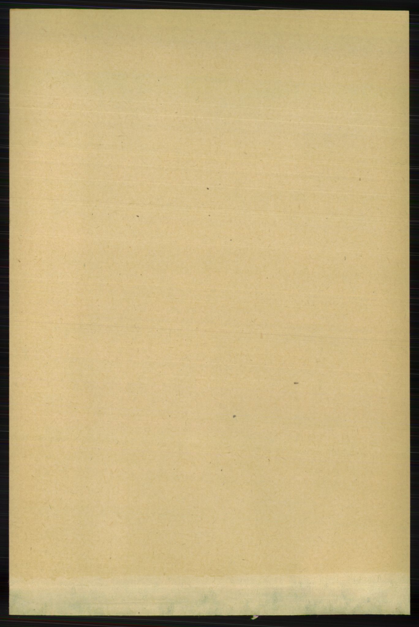 RA, 1891 census for 1129 Forsand, 1891, p. 1929