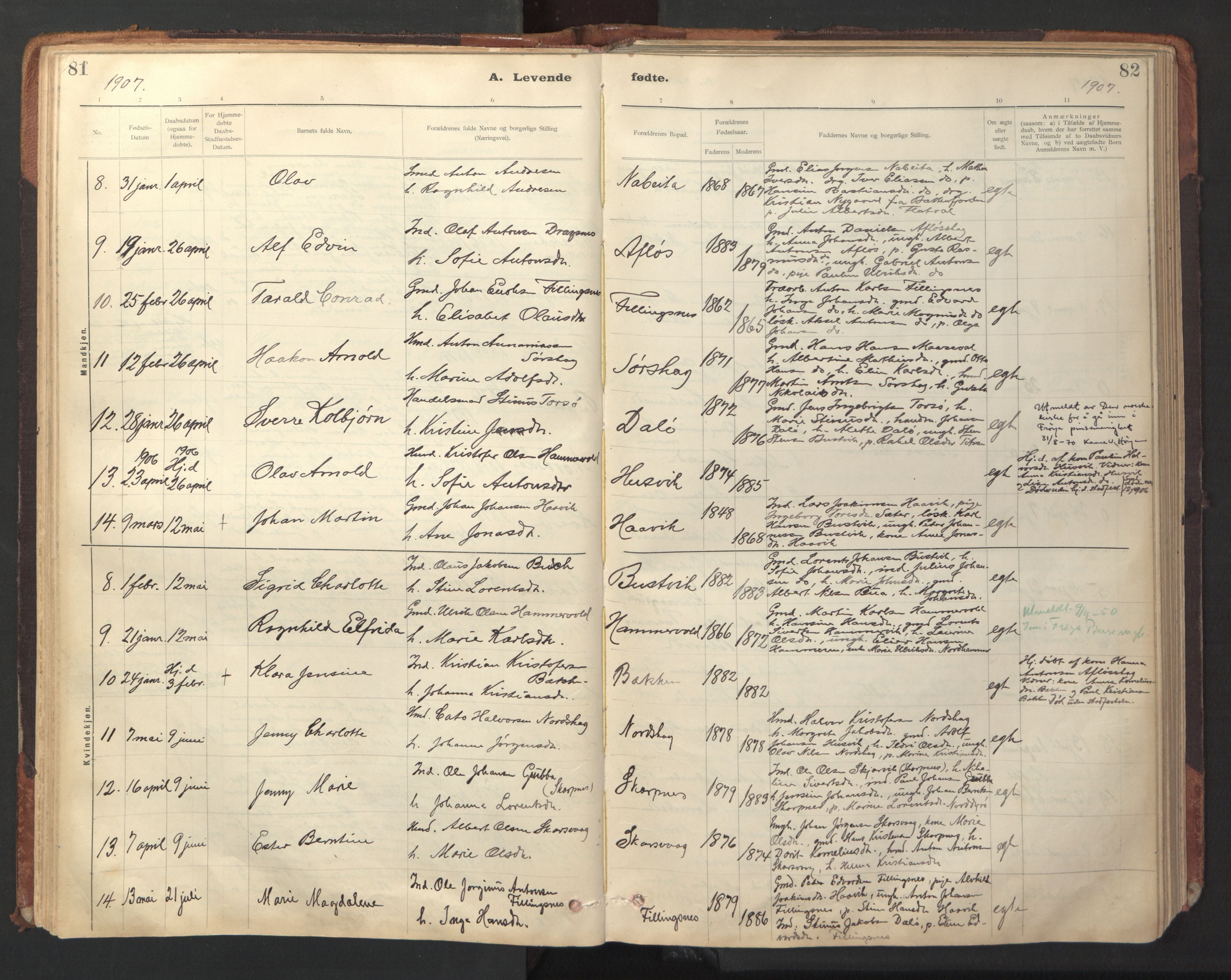 Ministerialprotokoller, klokkerbøker og fødselsregistre - Sør-Trøndelag, SAT/A-1456/641/L0596: Parish register (official) no. 641A02, 1898-1915, p. 81-82