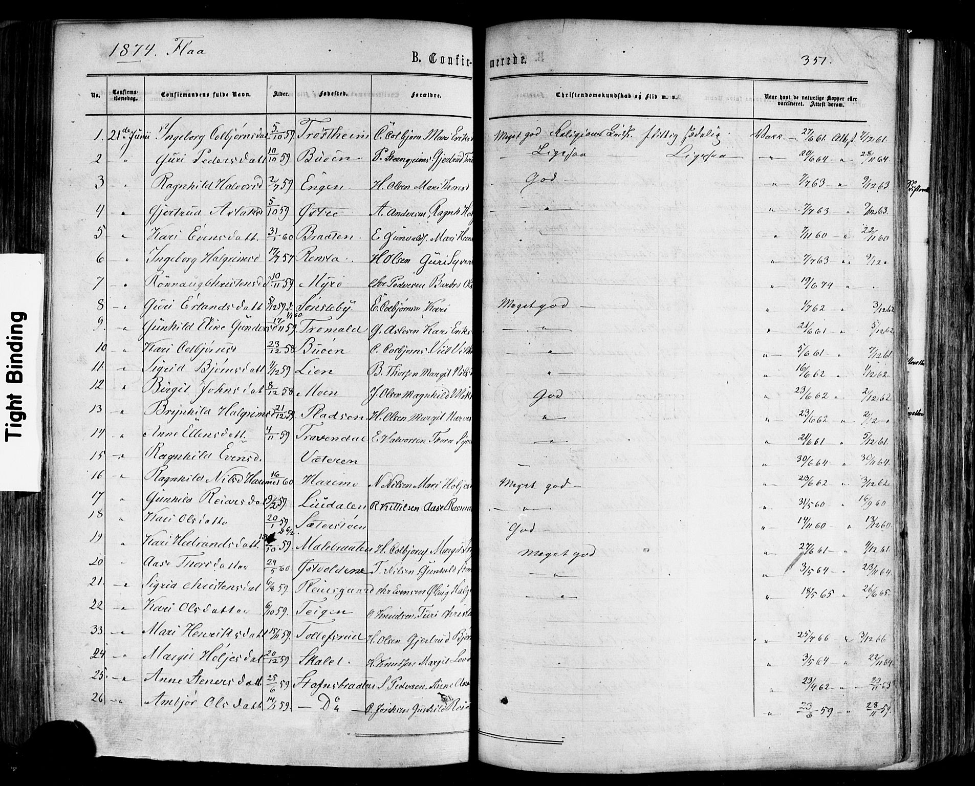 Nes kirkebøker, AV/SAKO-A-236/F/Fa/L0010: Parish register (official) no. 10, 1864-1880, p. 351