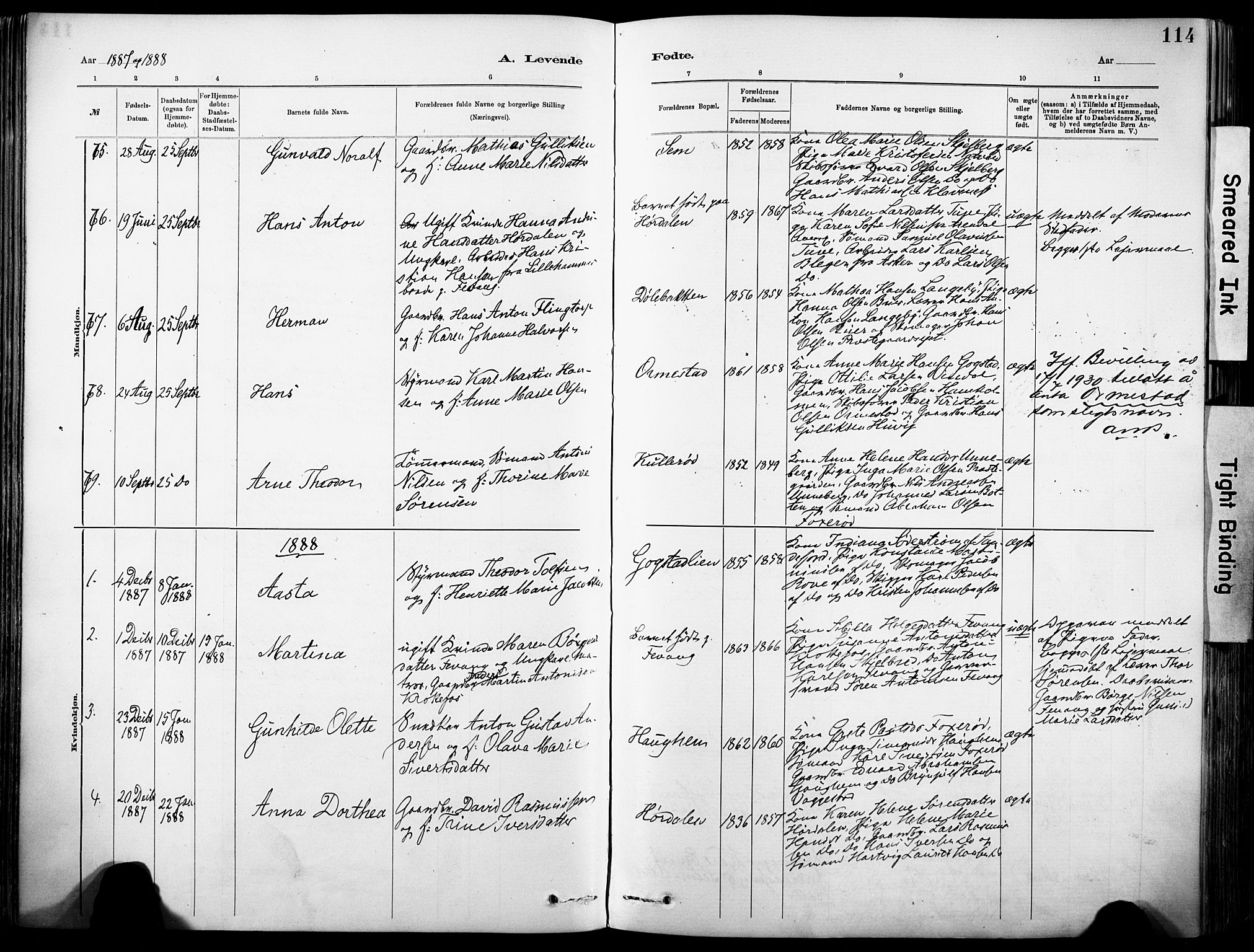 Sandar kirkebøker, SAKO/A-243/F/Fa/L0012: Parish register (official) no. 12, 1883-1895, p. 114