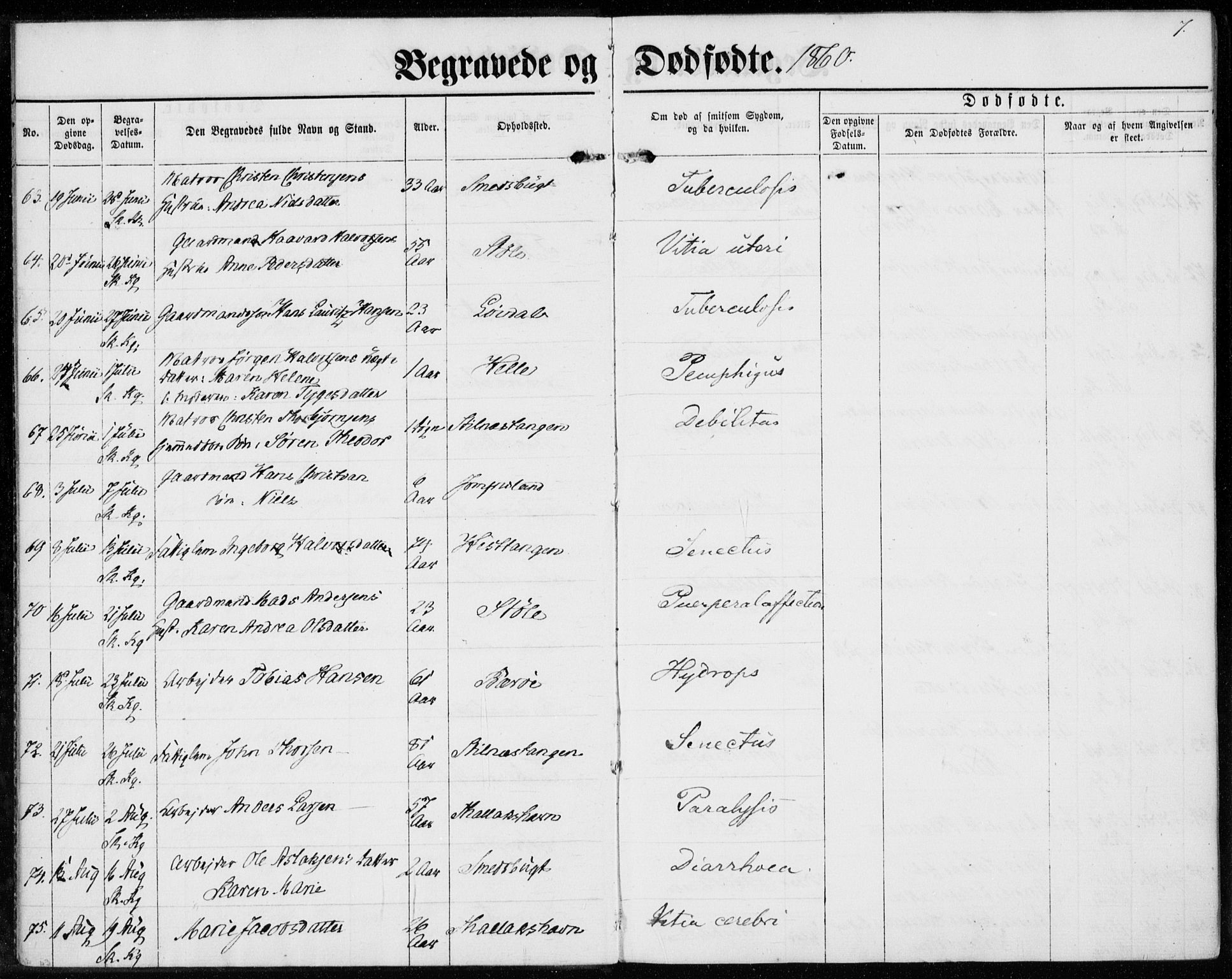 Sannidal kirkebøker, AV/SAKO-A-296/F/Fa/L0012: Parish register (official) no. 12, 1860-1873, p. 7