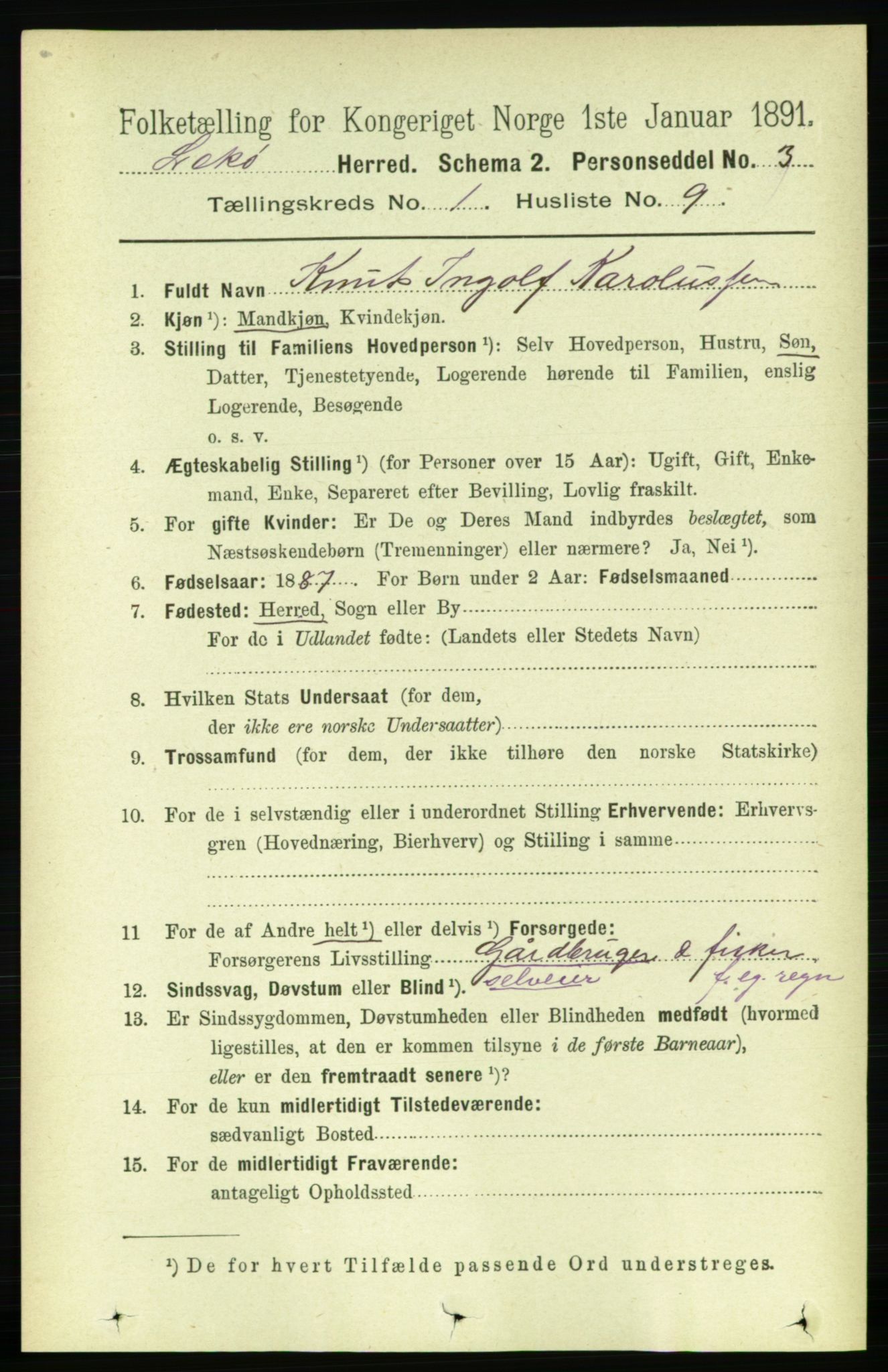 RA, 1891 census for 1755 Leka, 1891, p. 185