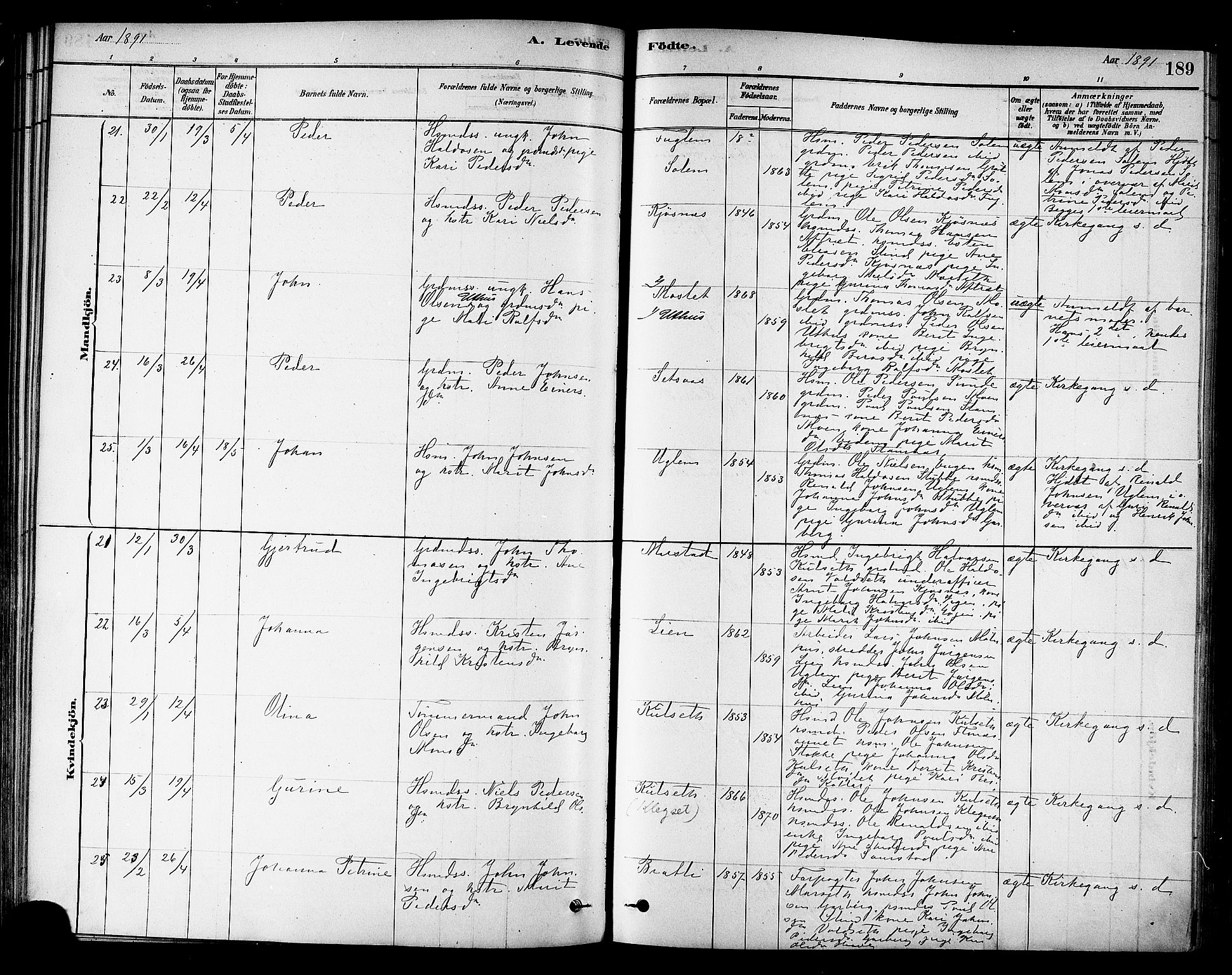 Ministerialprotokoller, klokkerbøker og fødselsregistre - Sør-Trøndelag, AV/SAT-A-1456/695/L1148: Parish register (official) no. 695A08, 1878-1891, p. 189