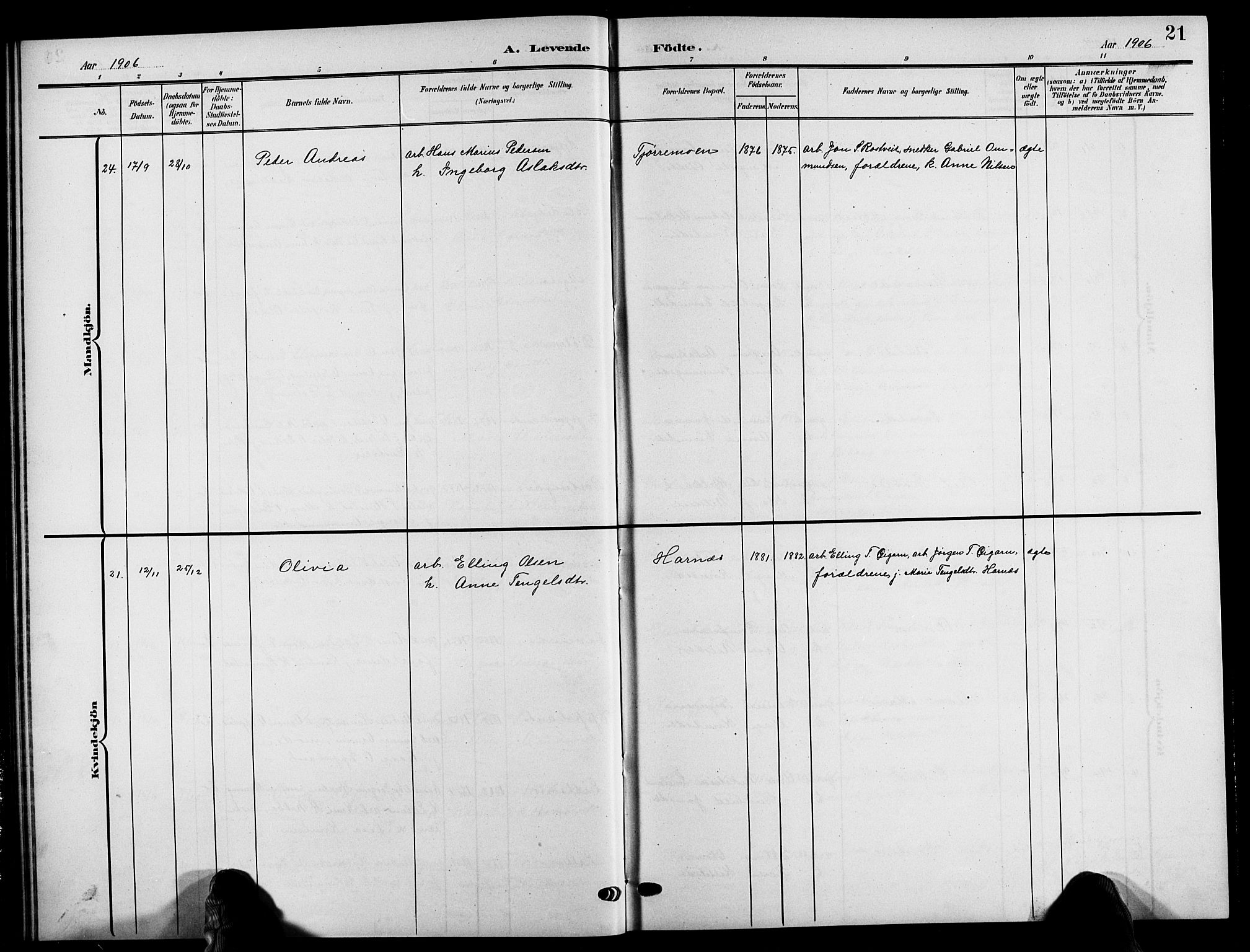 Åmli sokneprestkontor, AV/SAK-1111-0050/F/Fb/Fbc/L0005: Parish register (copy) no. B 5, 1903-1916, p. 21