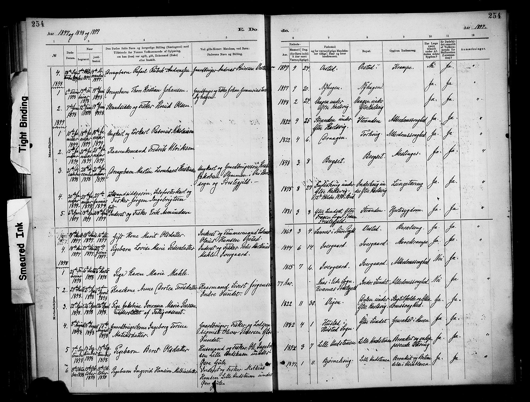 Ministerialprotokoller, klokkerbøker og fødselsregistre - Møre og Romsdal, SAT/A-1454/566/L0769: Parish register (official) no. 566A08, 1881-1903, p. 254