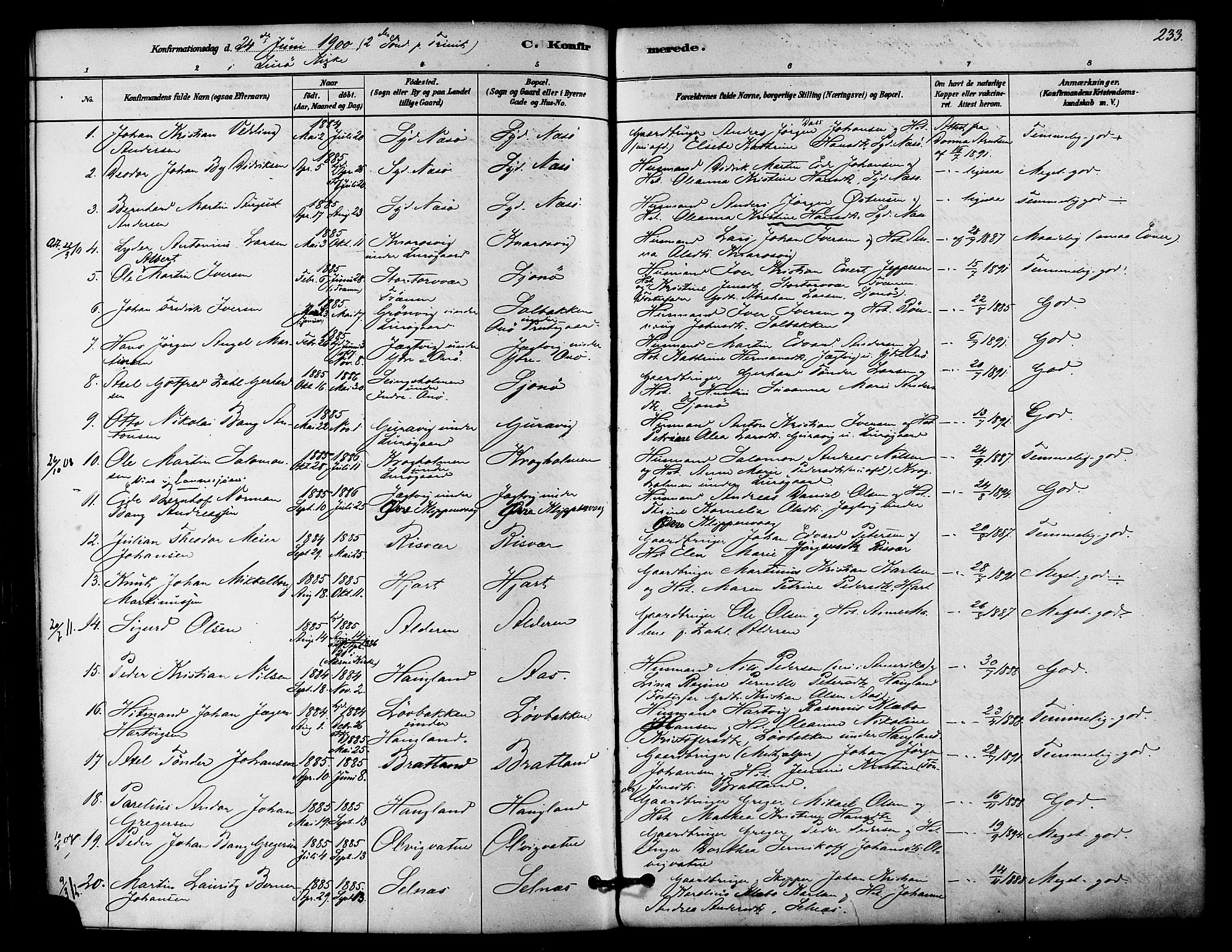 Ministerialprotokoller, klokkerbøker og fødselsregistre - Nordland, SAT/A-1459/839/L0568: Parish register (official) no. 839A05, 1880-1902, p. 233