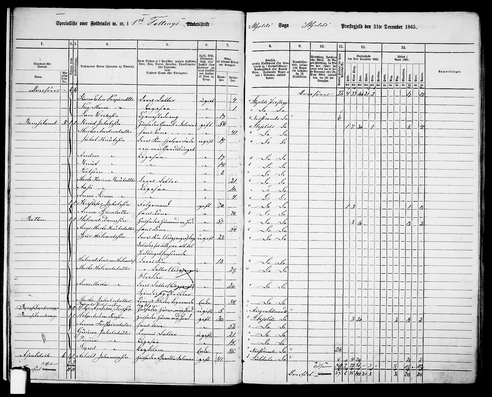 RA, 1865 census for Skjold, 1865, p. 13