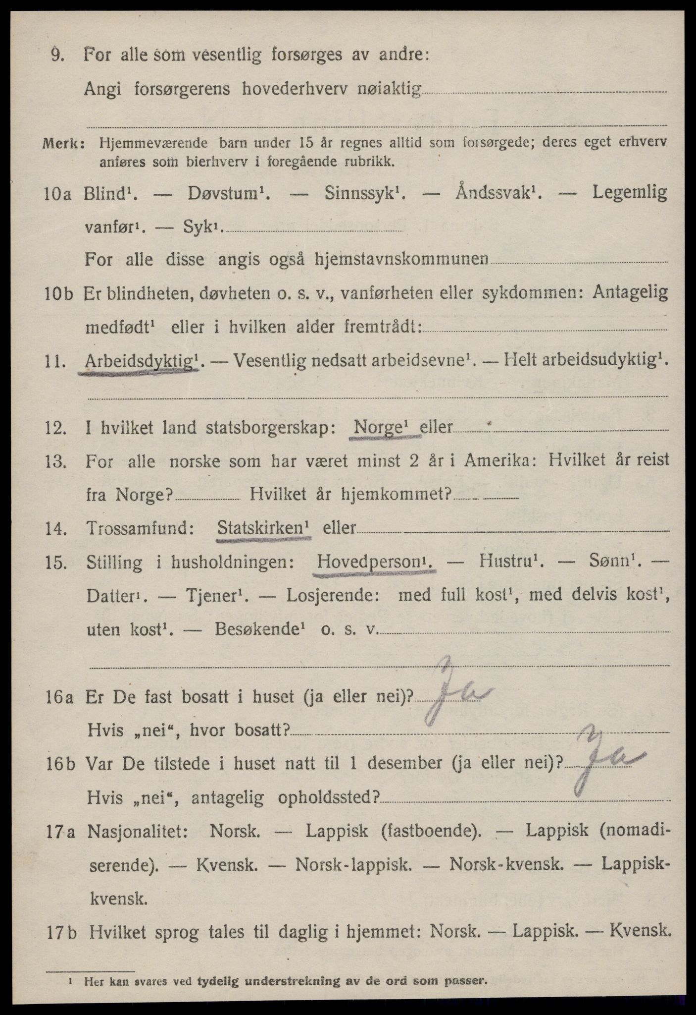 SAT, 1920 census for Strinda, 1920, p. 20207