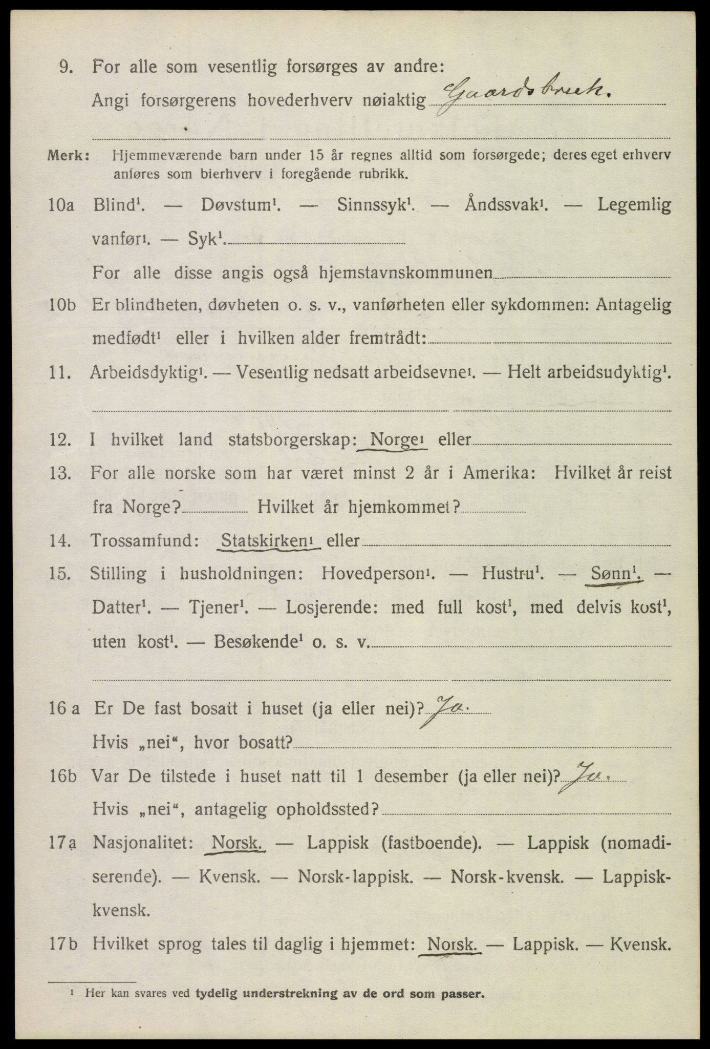 SAT, 1920 census for Saltdal, 1920, p. 1252