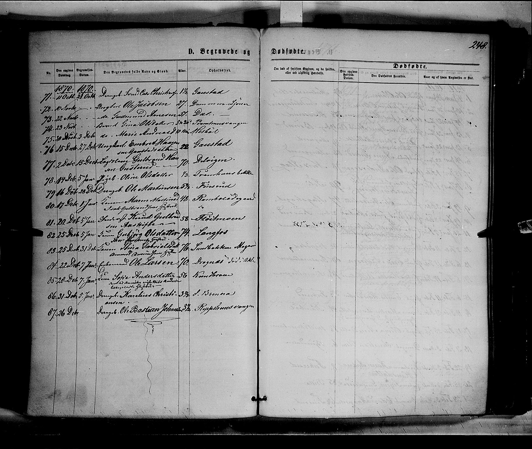 Eidskog prestekontor, AV/SAH-PREST-026/H/Ha/Haa/L0002: Parish register (official) no. 2, 1867-1878, p. 248