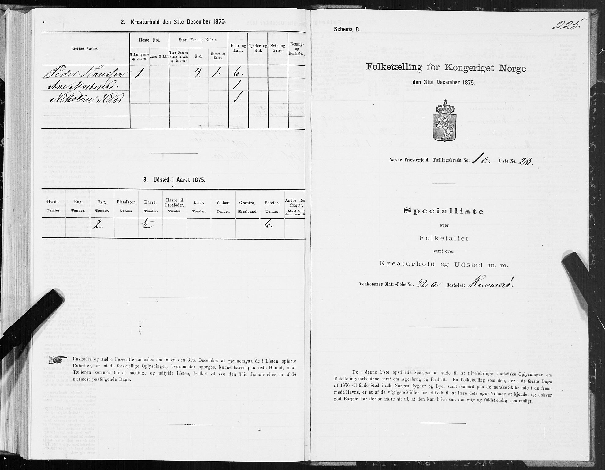 SAT, 1875 census for 1828P Nesna, 1875, p. 1225