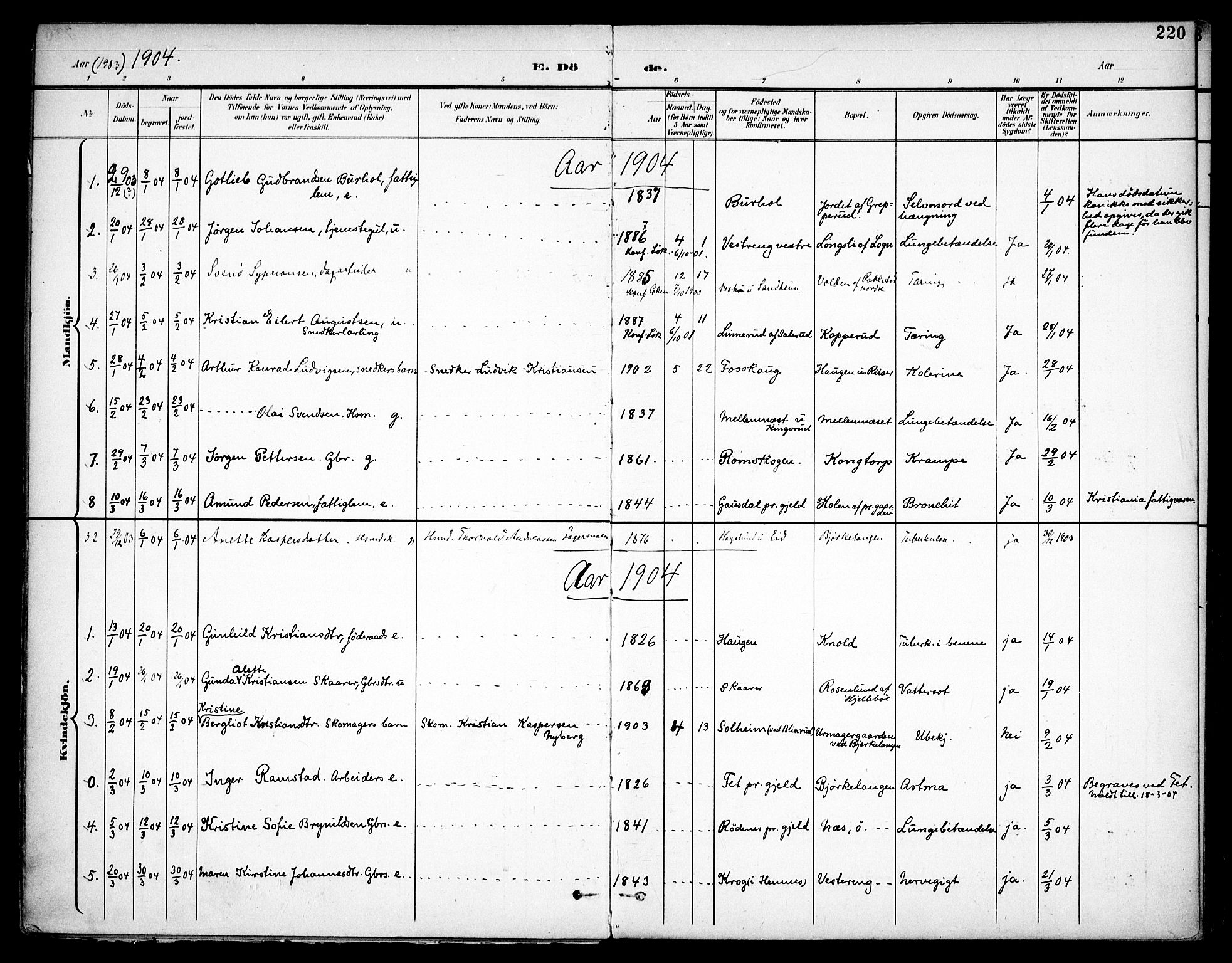 Høland prestekontor Kirkebøker, SAO/A-10346a/F/Fa/L0015: Parish register (official) no. I 15, 1897-1912, p. 220