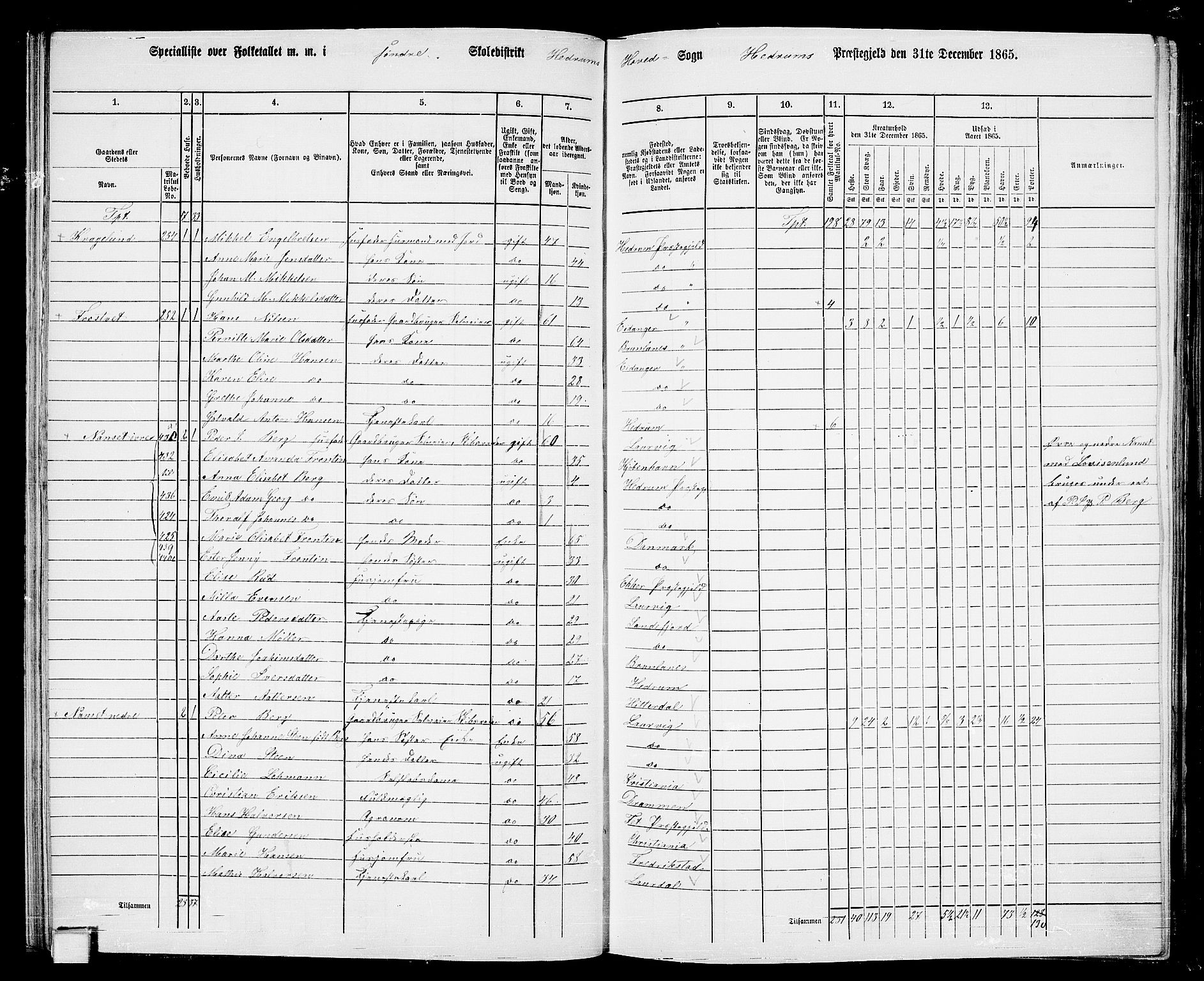 RA, 1865 census for Hedrum, 1865, p. 38