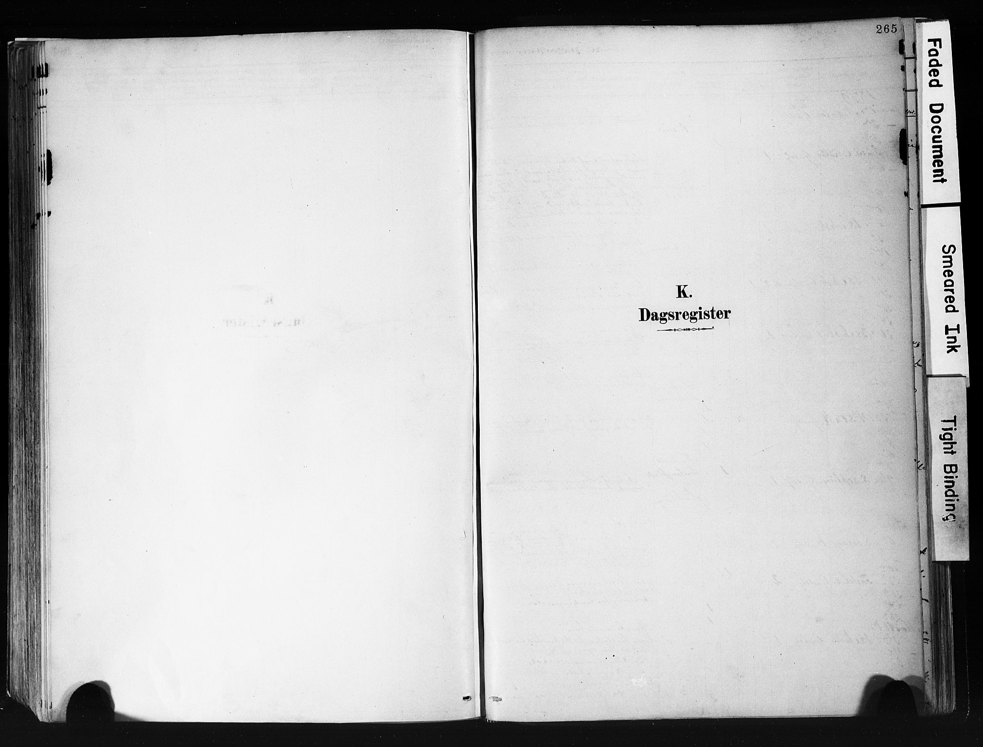 Eidanger kirkebøker, AV/SAKO-A-261/F/Fa/L0012: Parish register (official) no. 12, 1879-1900, p. 265