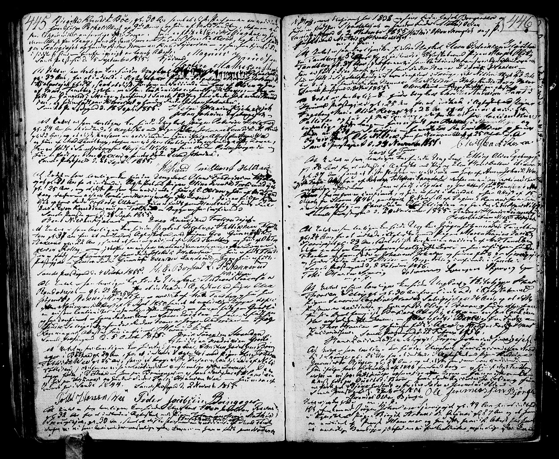 Sande Kirkebøker, SAKO/A-53/F/Fa/L0002: Parish register (official) no. 2, 1804-1814, p. 445-446