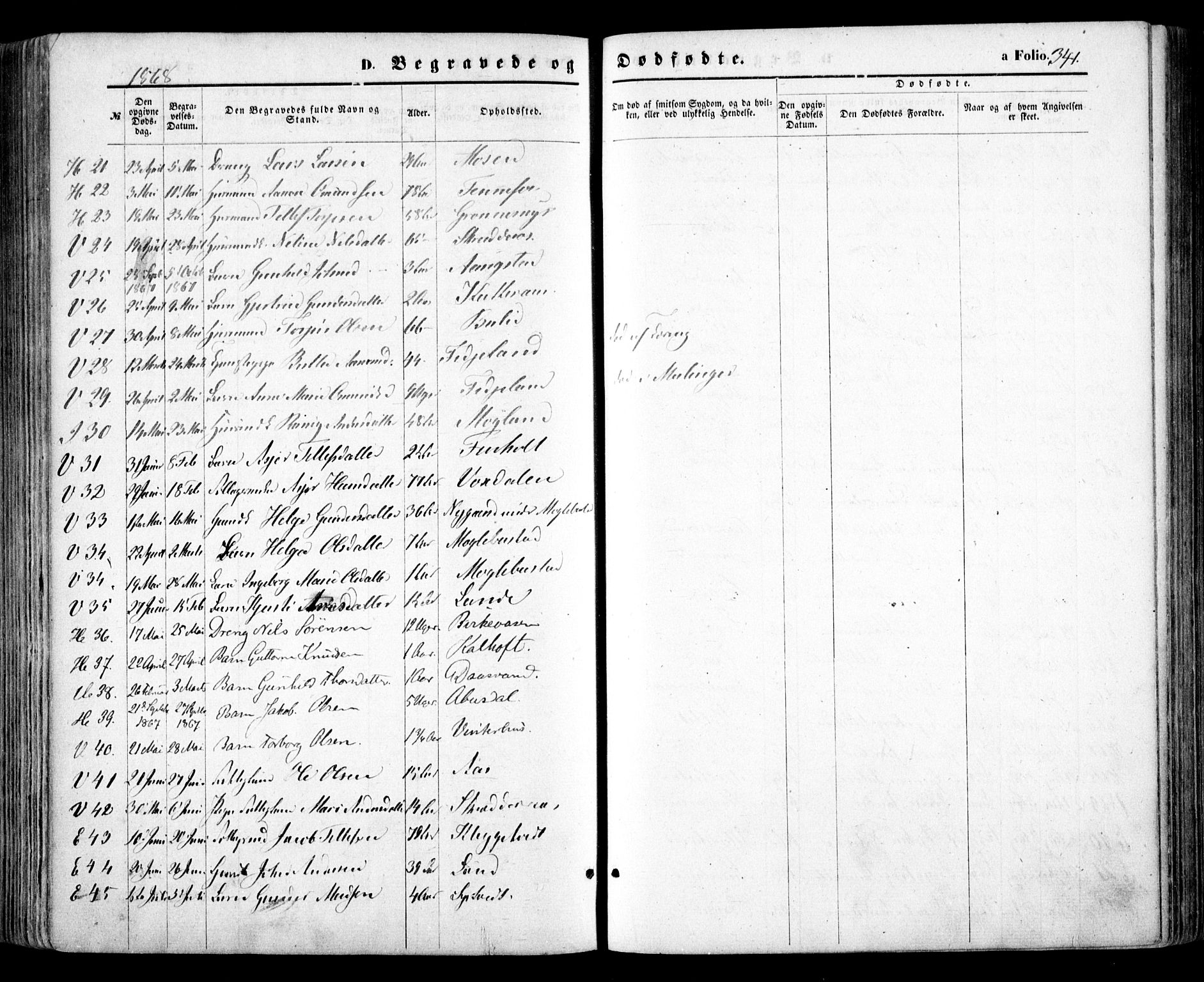 Evje sokneprestkontor, SAK/1111-0008/F/Fa/Faa/L0006: Parish register (official) no. A 6, 1866-1884, p. 341