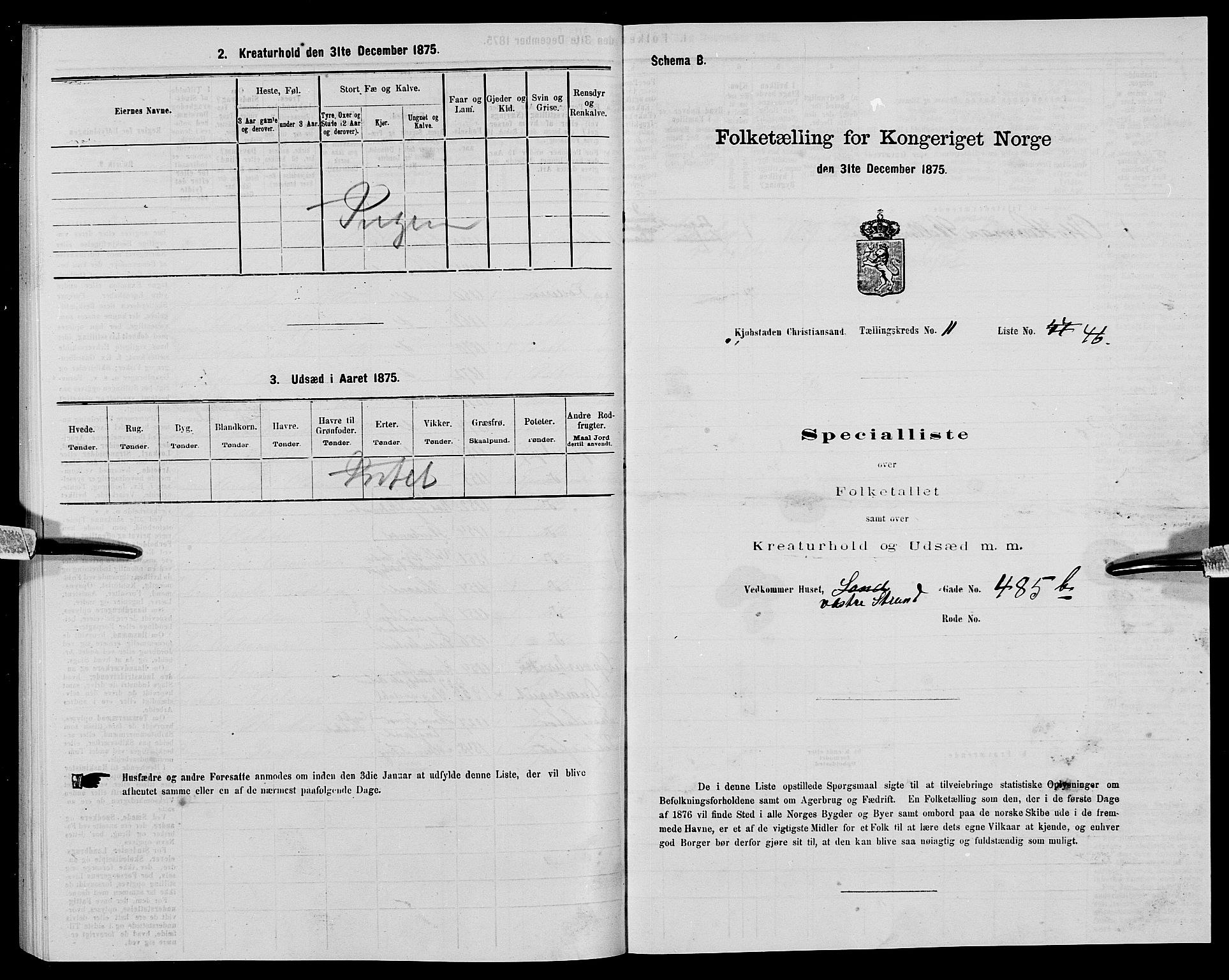 SAK, 1875 census for 1001P Kristiansand, 1875, p. 1915