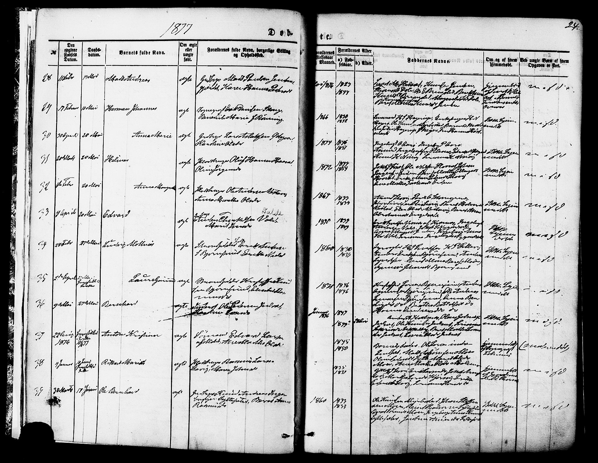 Ministerialprotokoller, klokkerbøker og fødselsregistre - Møre og Romsdal, AV/SAT-A-1454/565/L0749: Parish register (official) no. 565A03, 1871-1886, p. 24