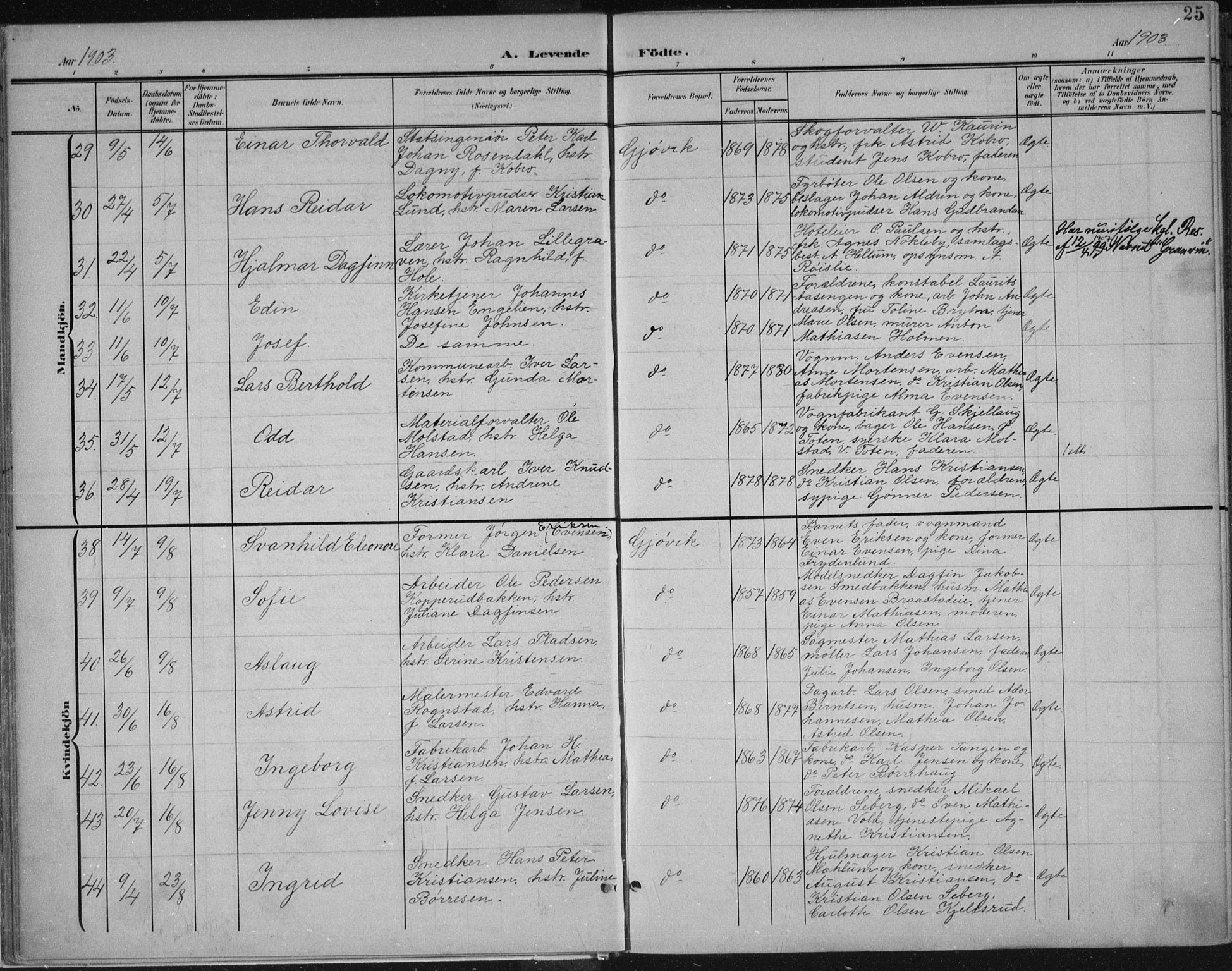 Vardal prestekontor, AV/SAH-PREST-100/H/Ha/Haa/L0013: Parish register (official) no. 13, 1901-1911, p. 25