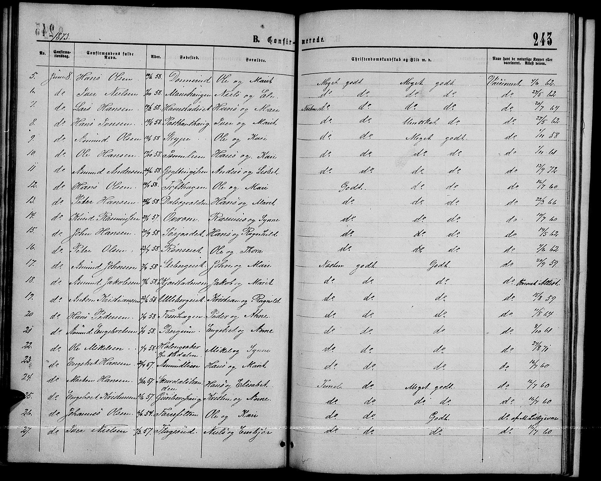 Sør-Fron prestekontor, SAH/PREST-010/H/Ha/Hab/L0002: Parish register (copy) no. 2, 1864-1883, p. 243